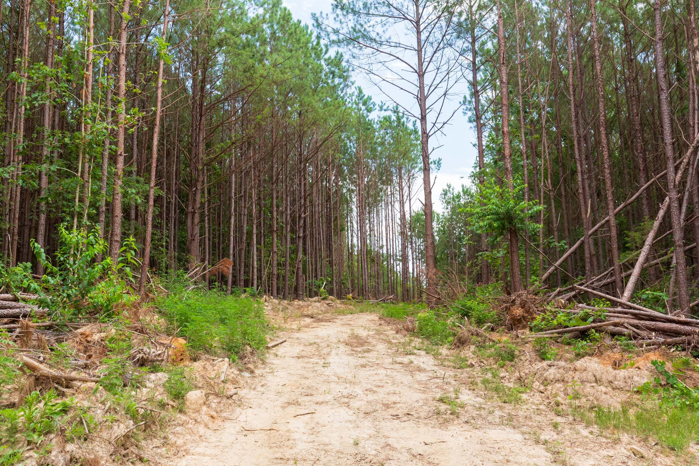 Whiskey Ridge Tract 102 photo 5
