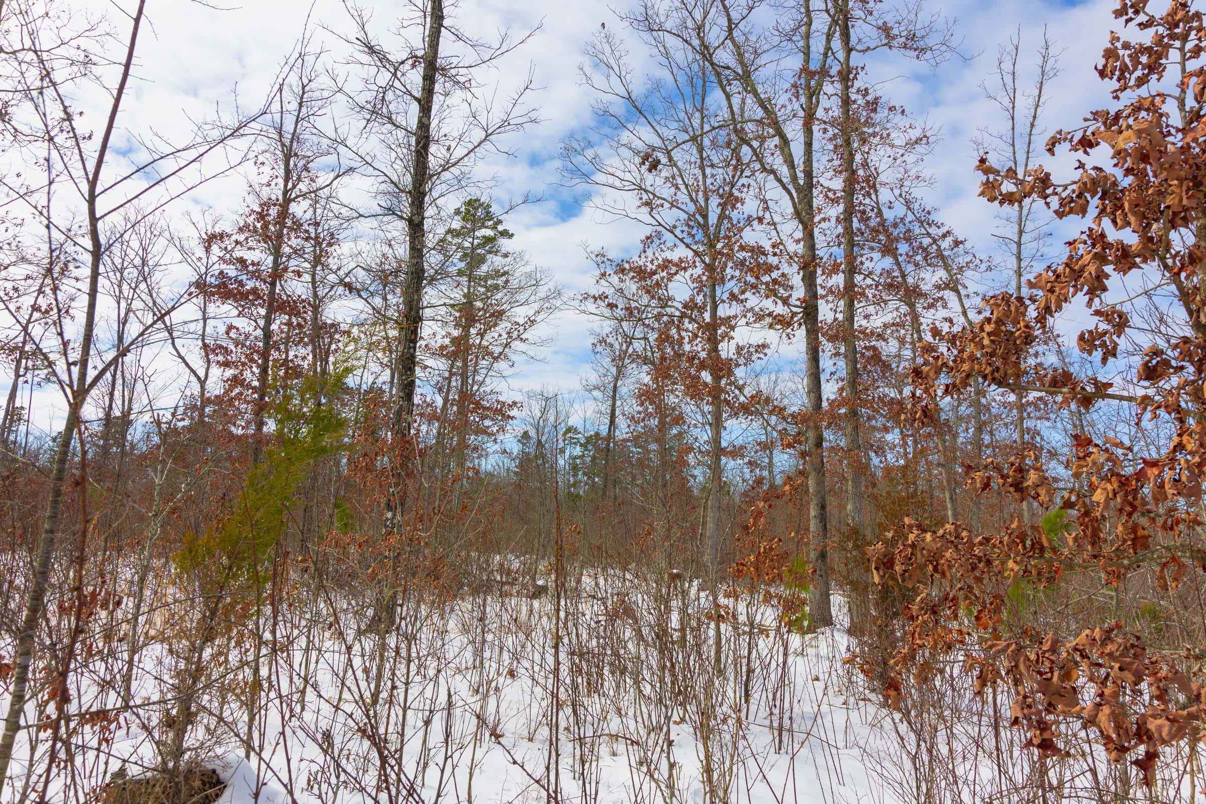 Sleepy Hollow Phase I Tract 5 photo 7