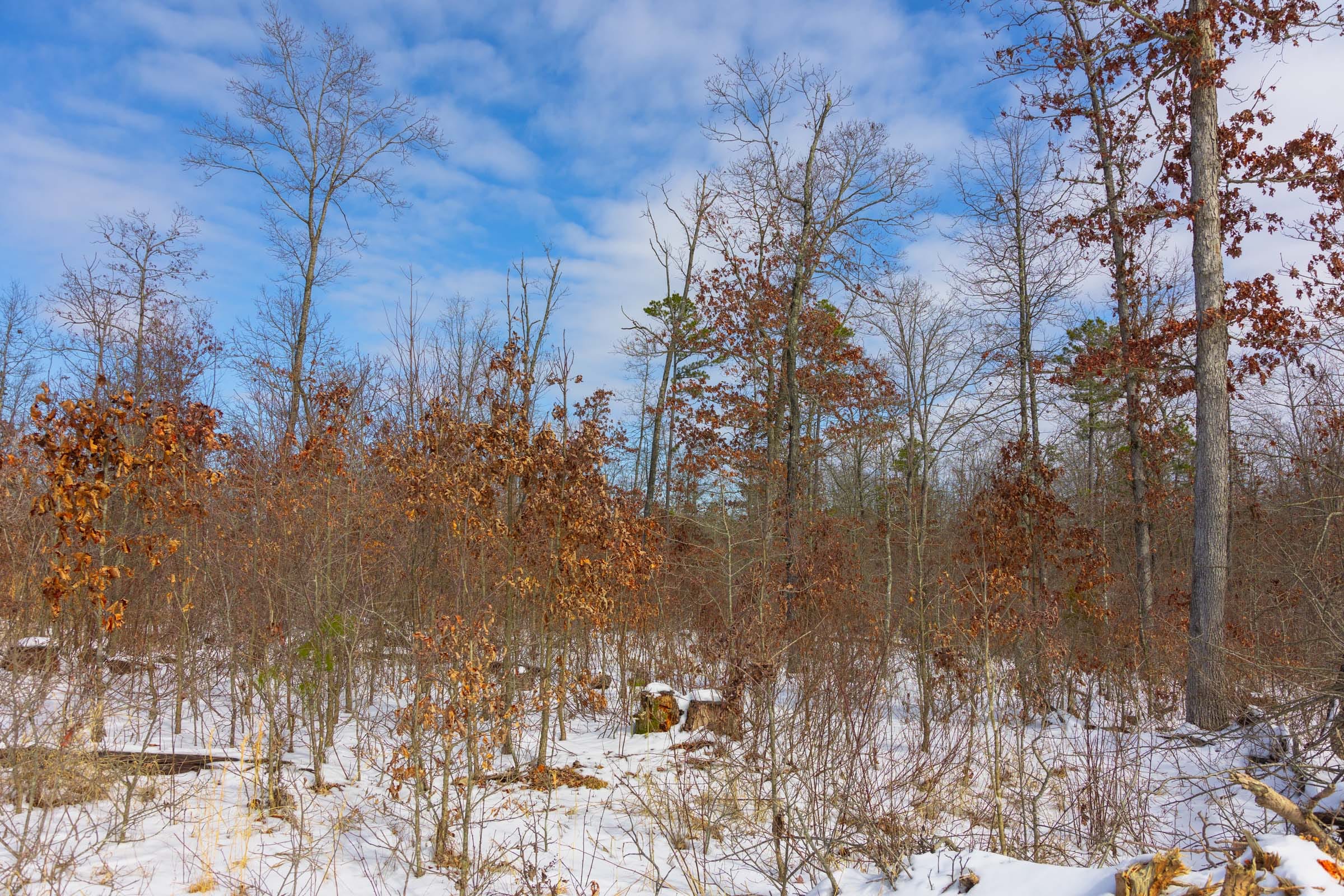 Sleepy Hollow Phase I Tract 5 photo 6