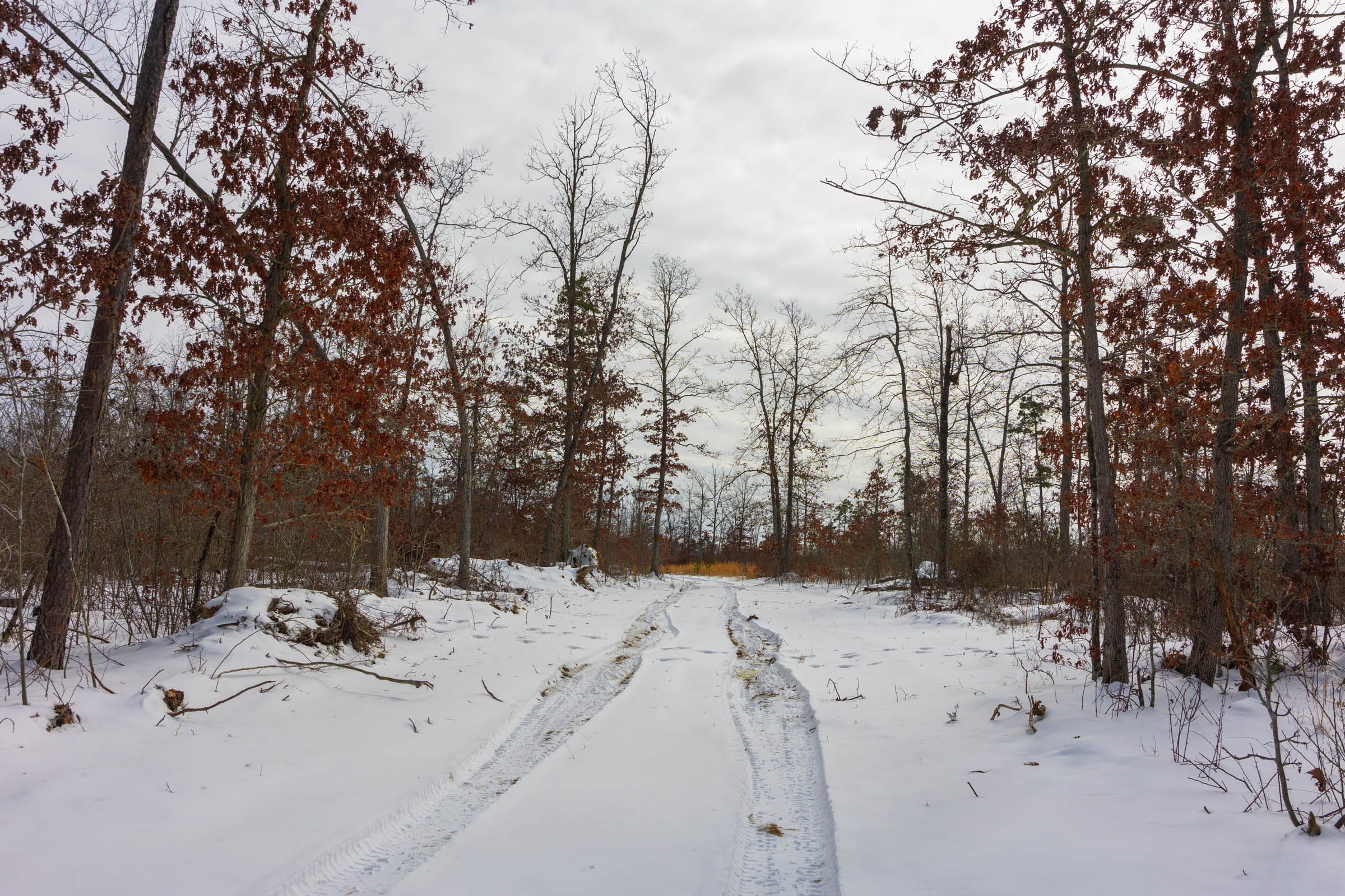 Sleepy Hollow Phase I Tract 5 photo 5