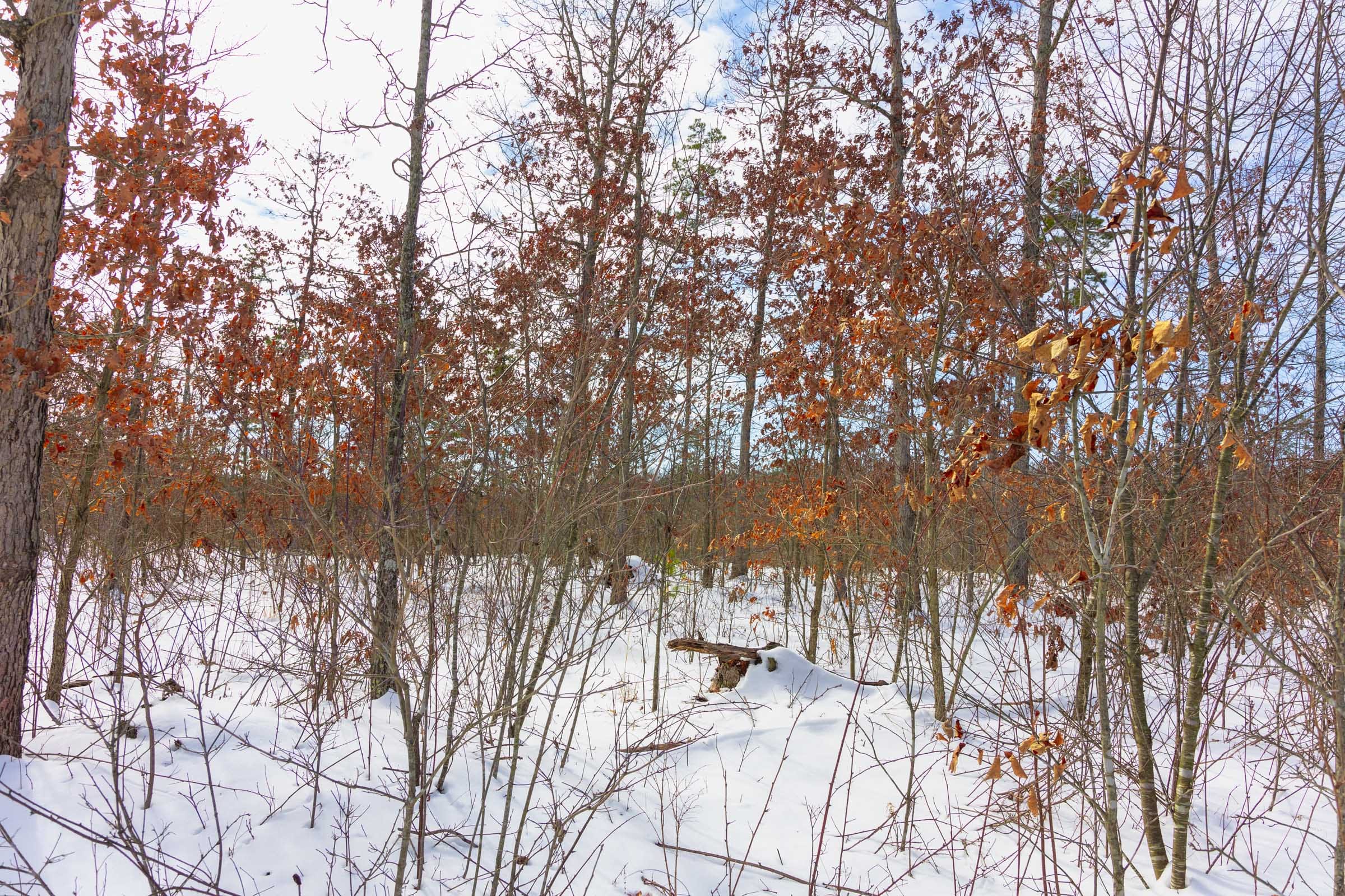 Sleepy Hollow Phase I Tract 5 photo 4