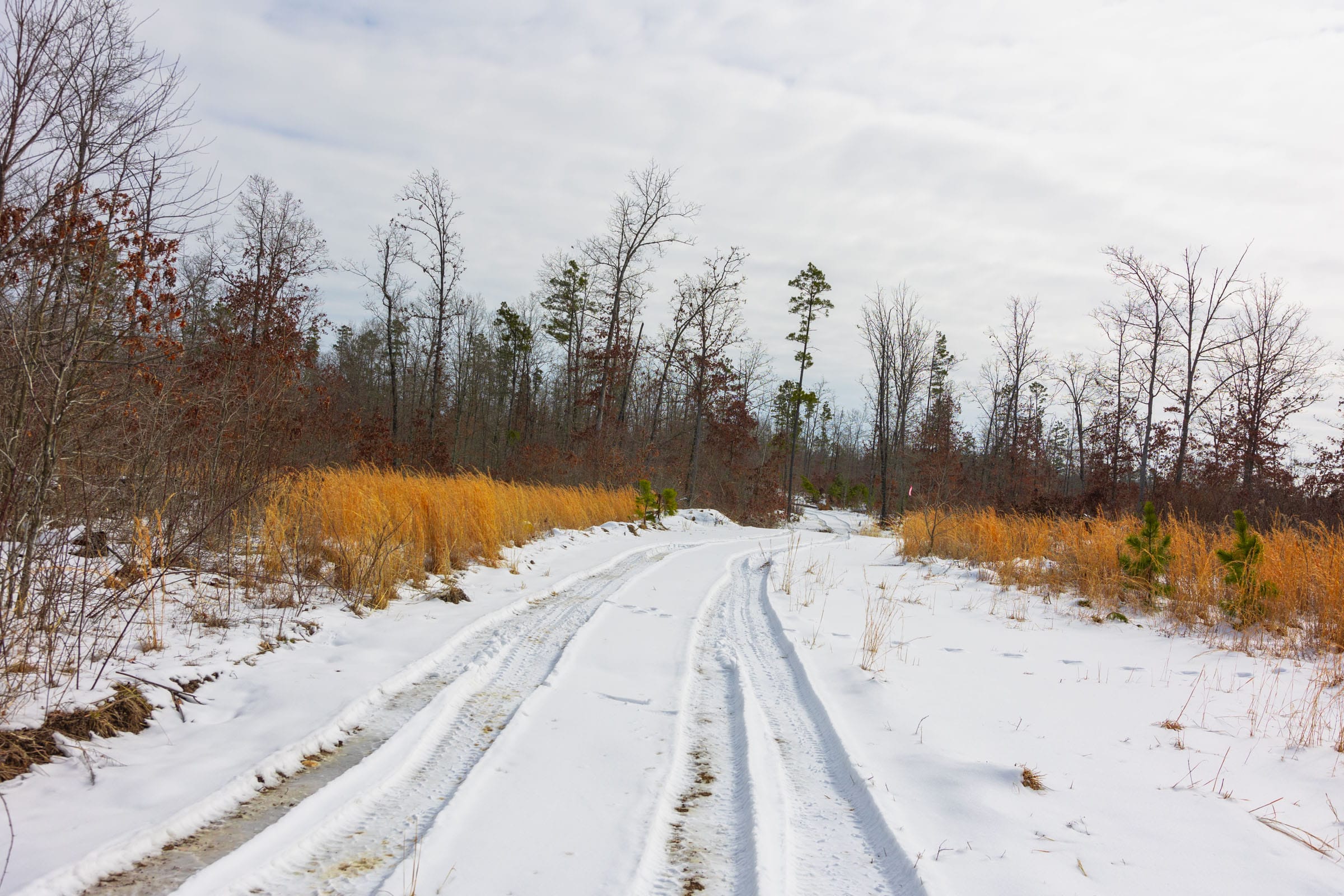 Sleepy Hollow Phase I Tract 5 photo 1