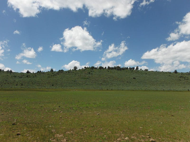 Moon Valley Ranch Tract 4 photo 8