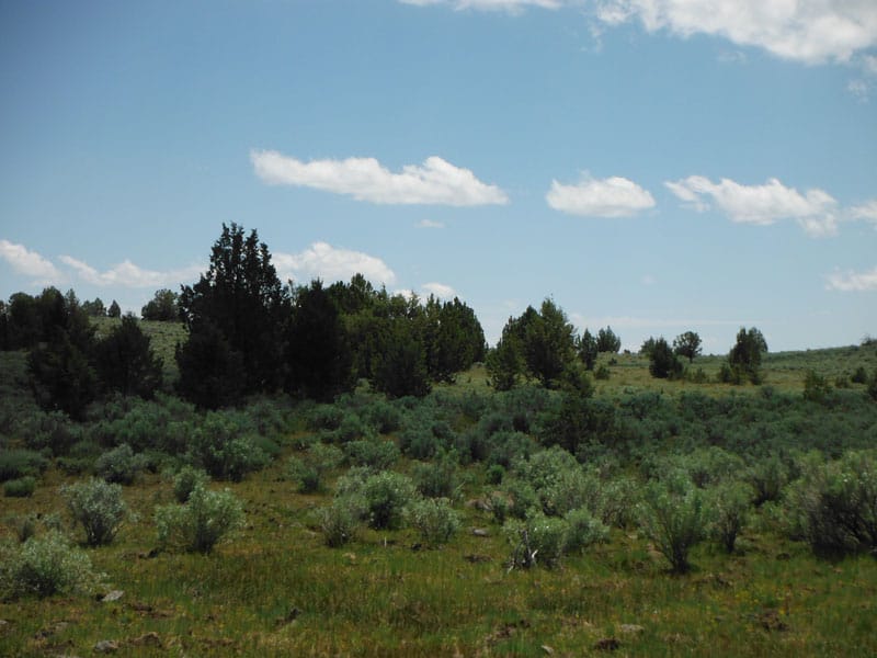 Moon Valley Ranch Tract 4 photo 9