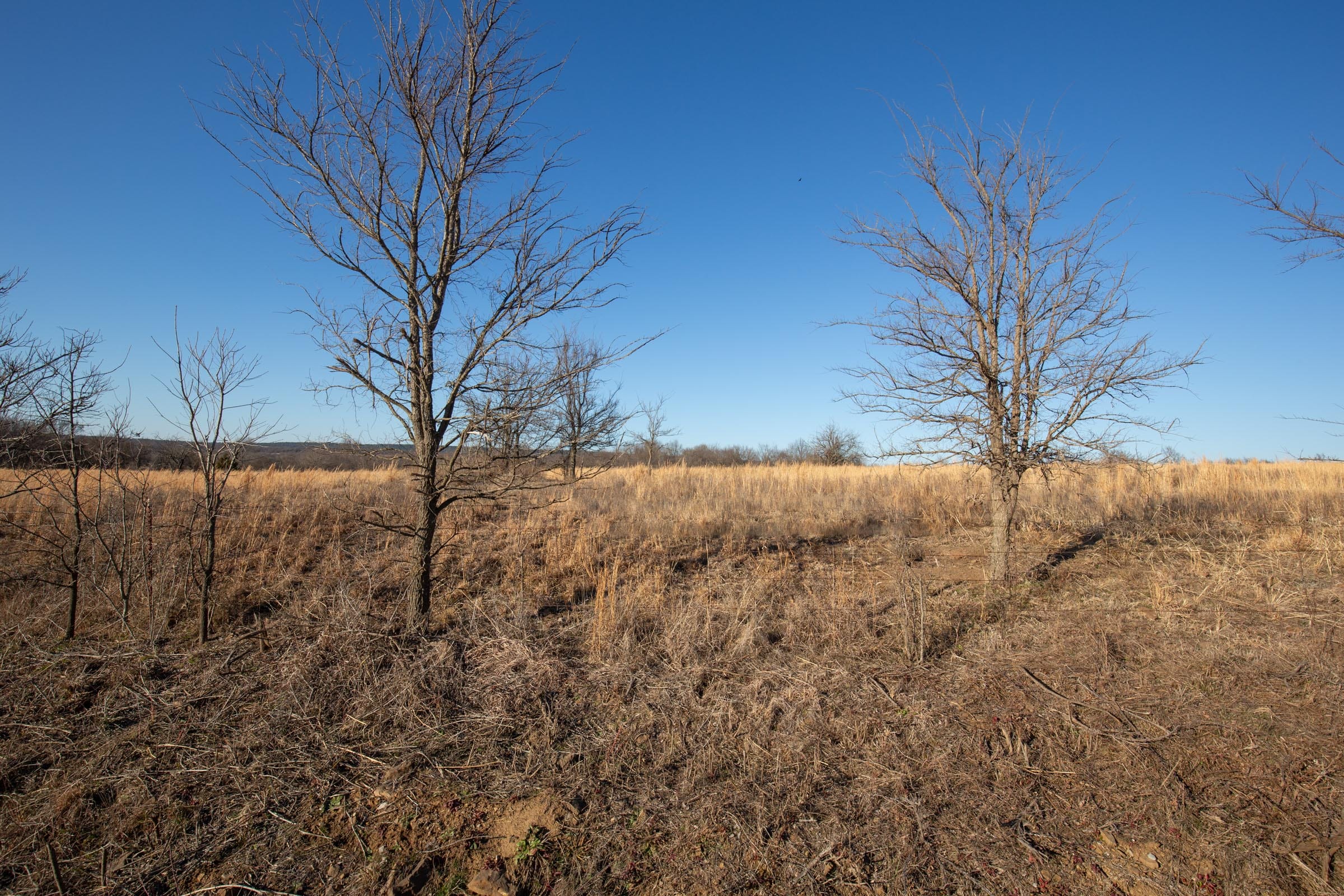 Painted Horse Tract 49 photo 2