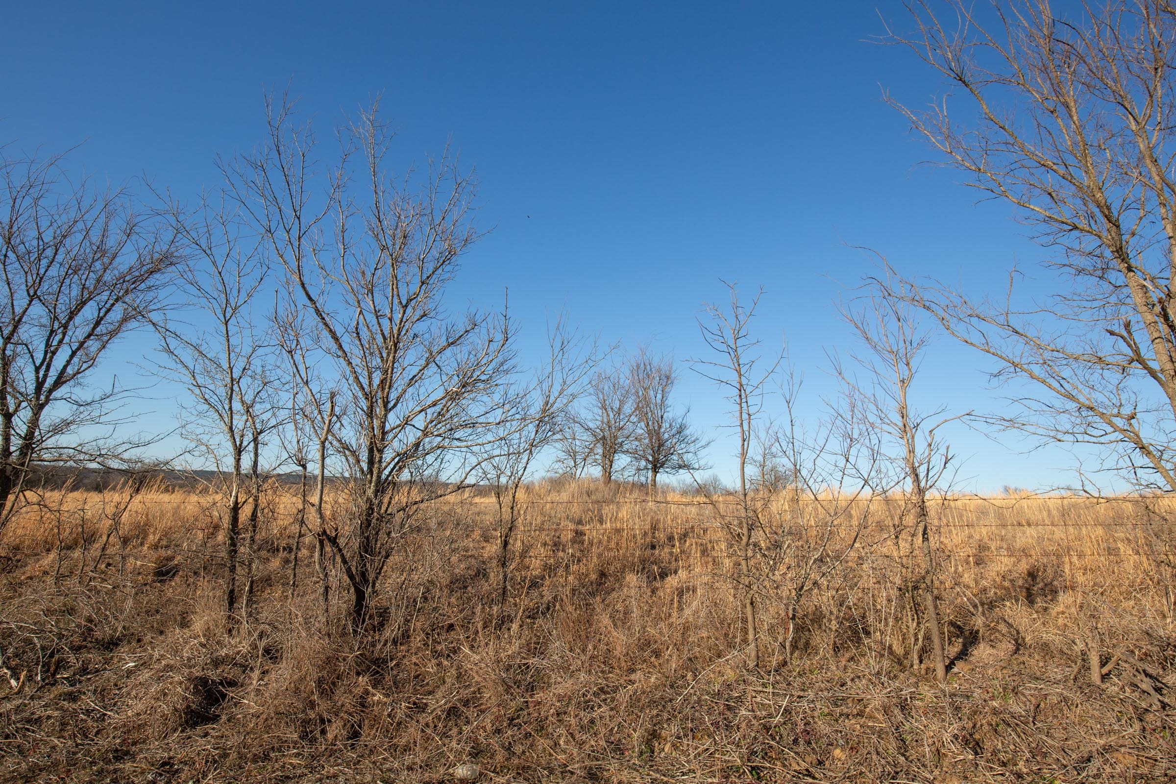 Painted Horse Tract 49 photo 3