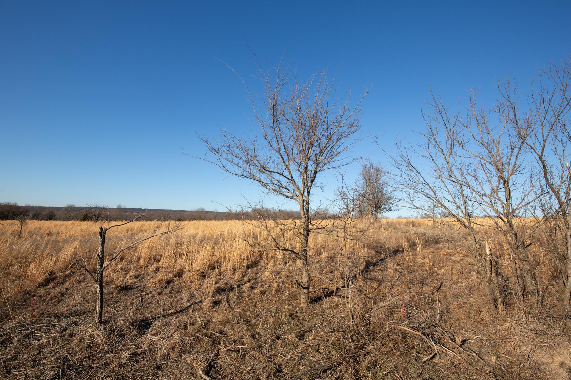 Painted Horse Tract 49 photo 4