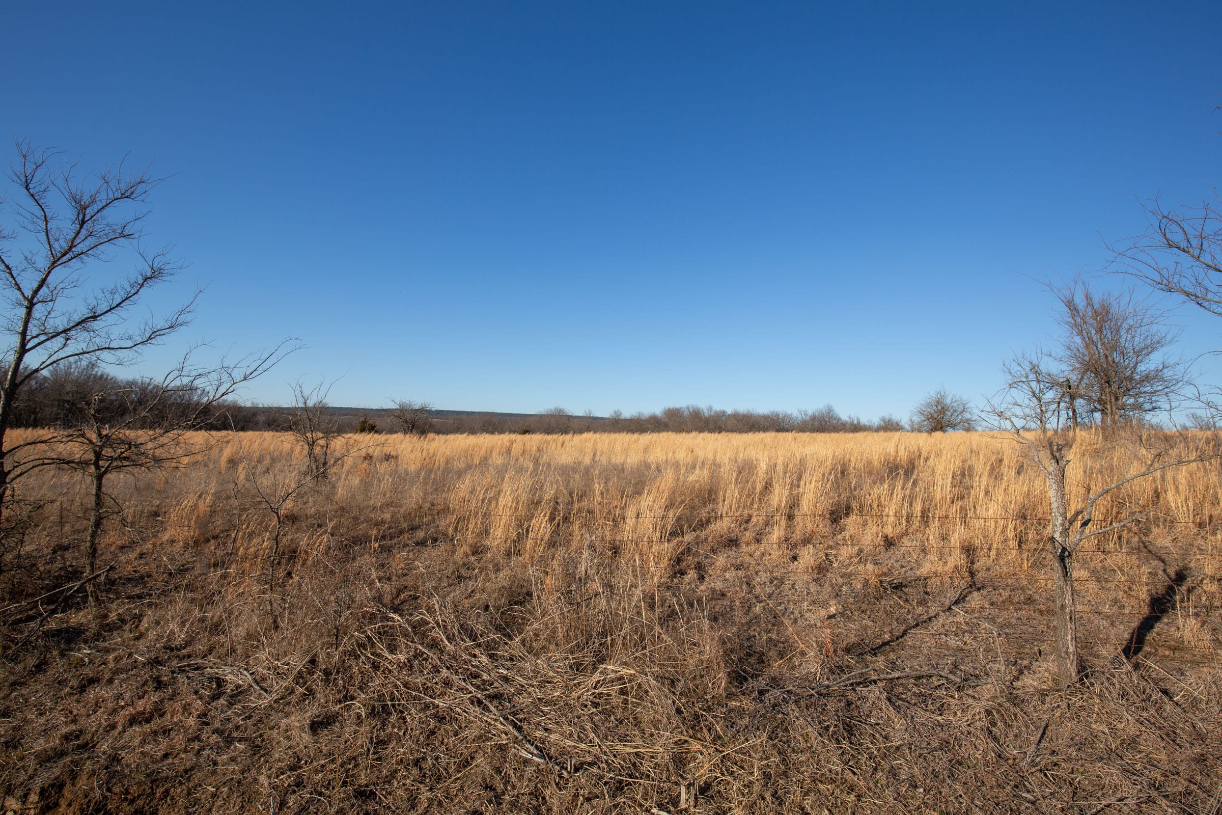 Painted Horse Tract 49 photo 5