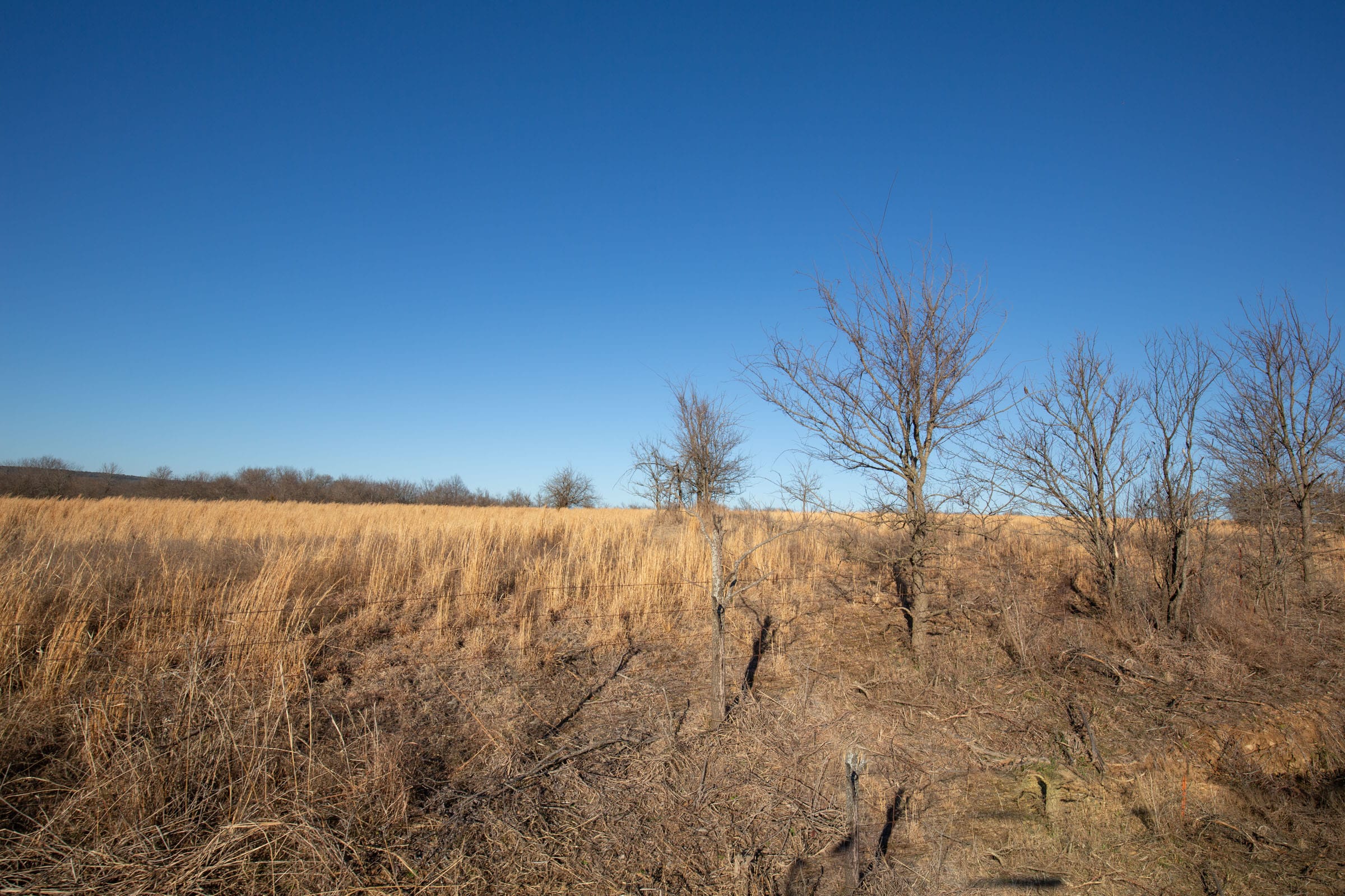 Painted Horse Tract 49 photo 6