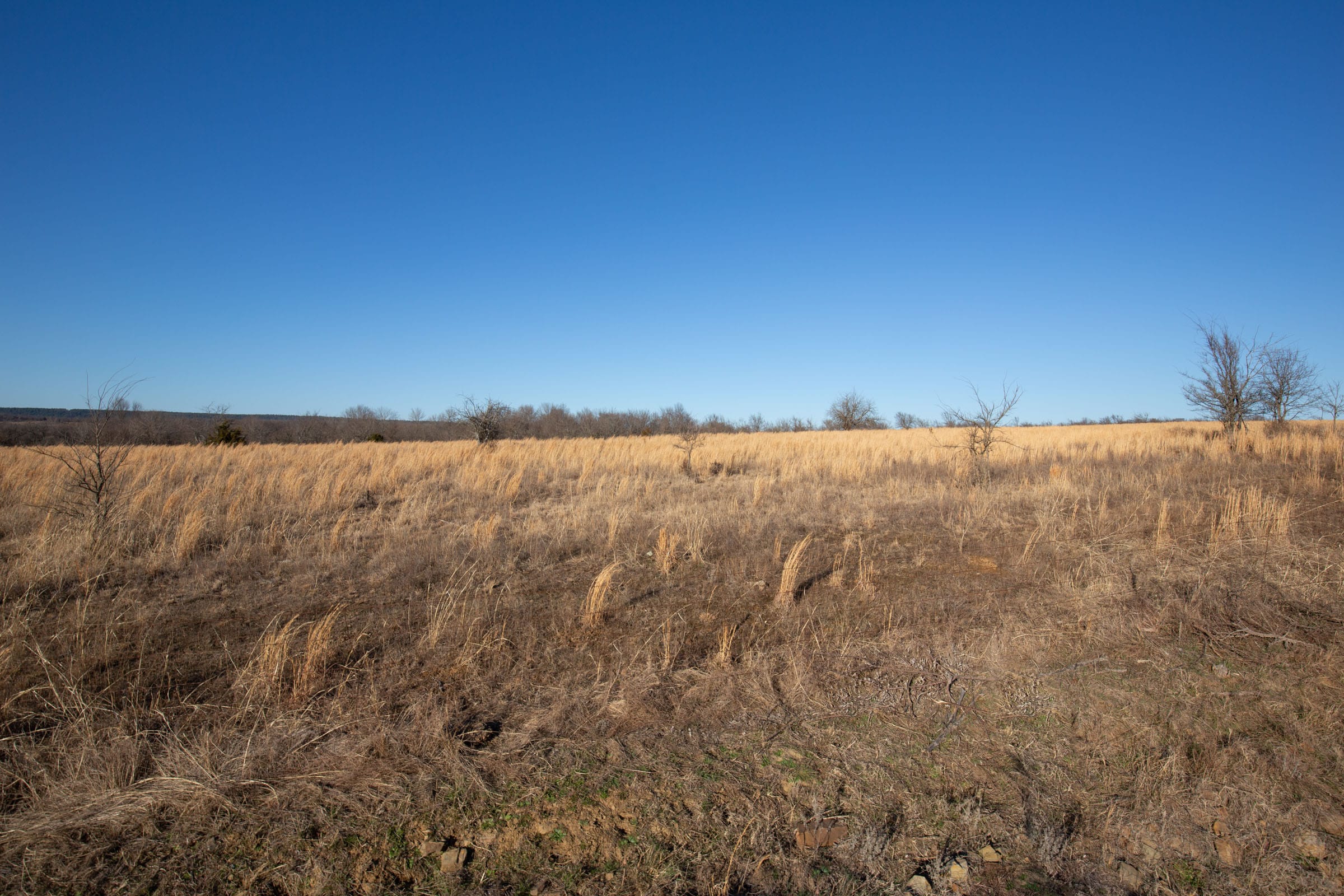Painted Horse Tract 49 photo 8