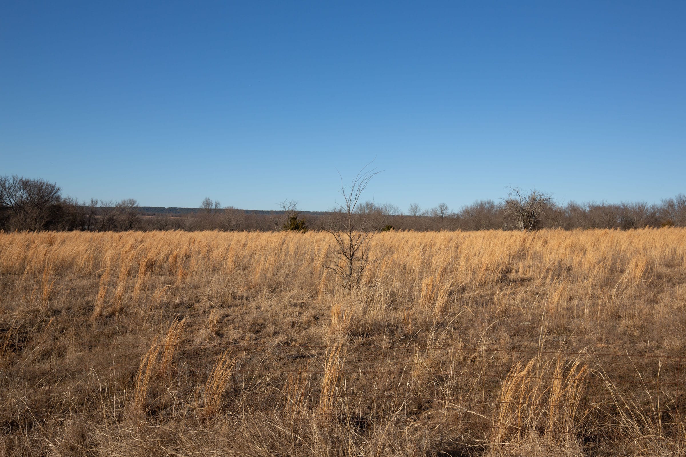 Painted Horse Tract 49 photo 9
