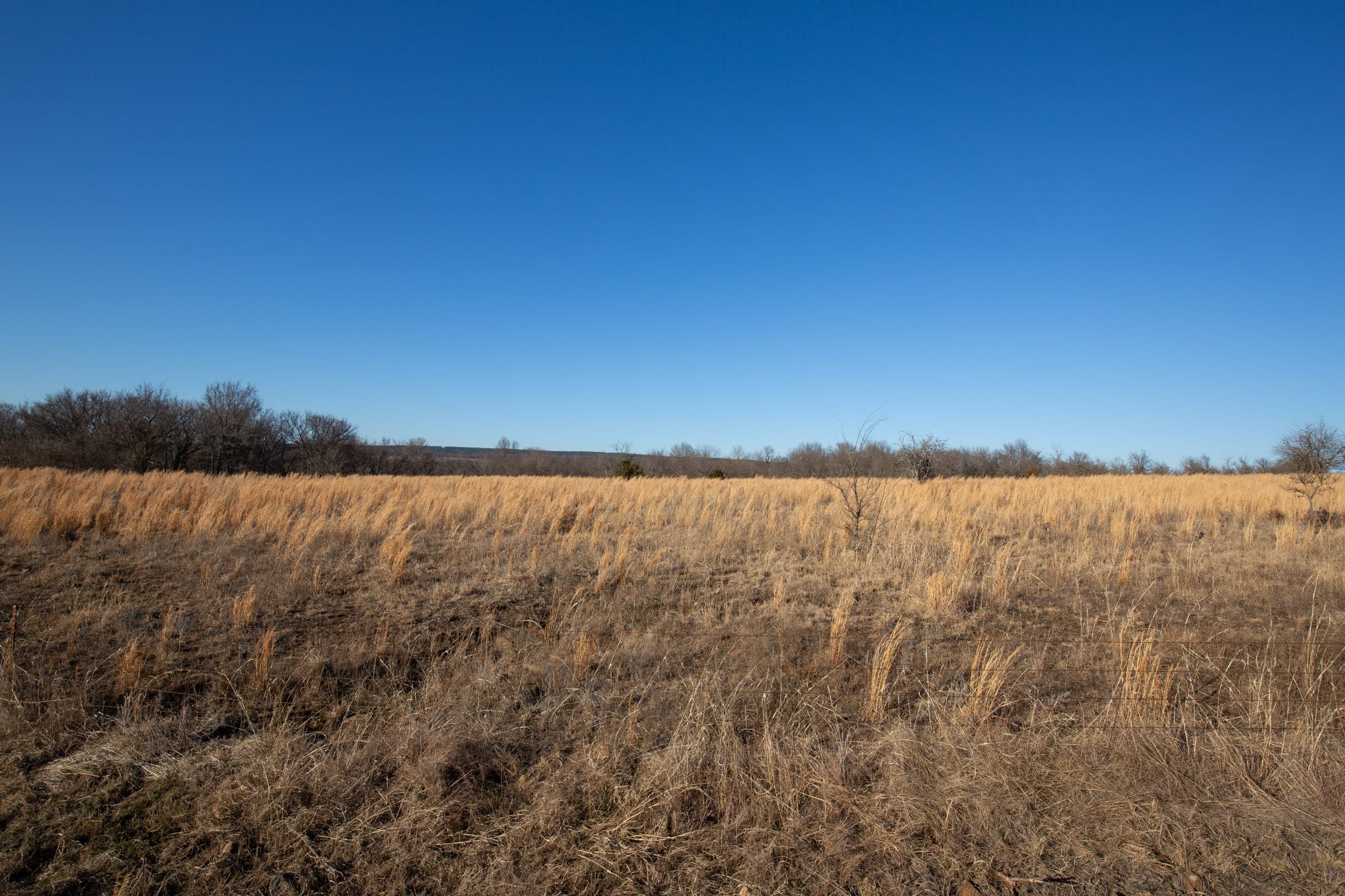 Painted Horse Tract 49 photo 10