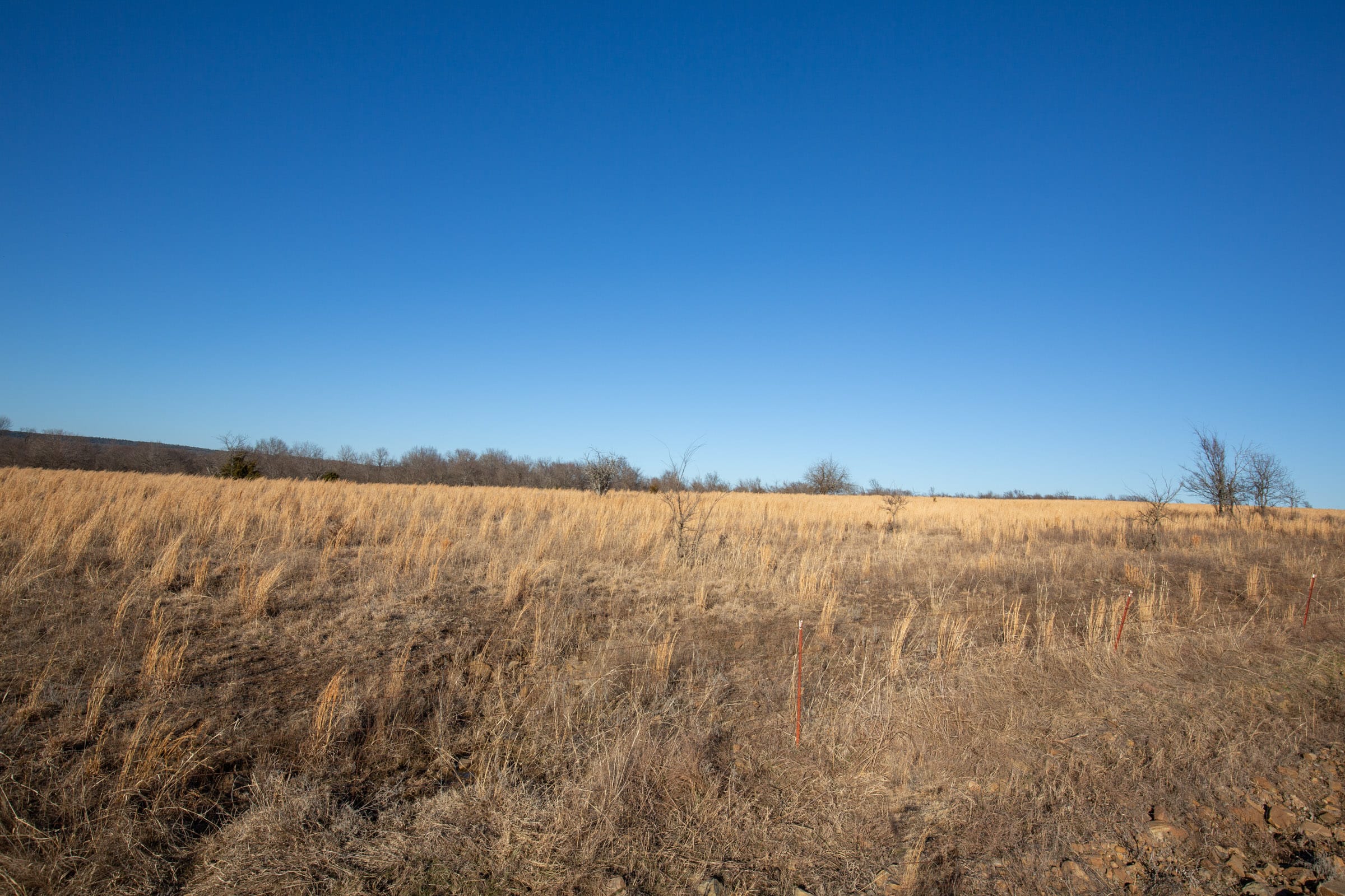 Painted Horse Tract 49 photo 11