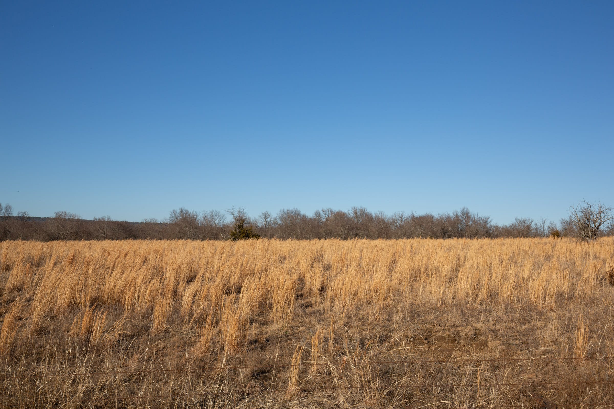 Painted Horse Tract 49 photo 12