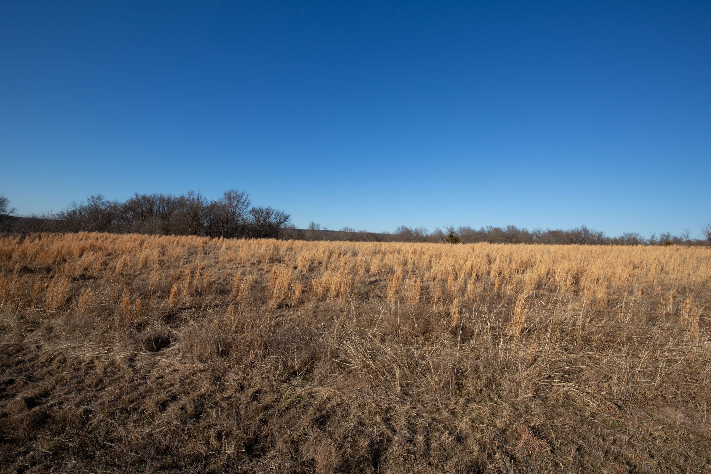 Painted Horse Tract 49 photo 13