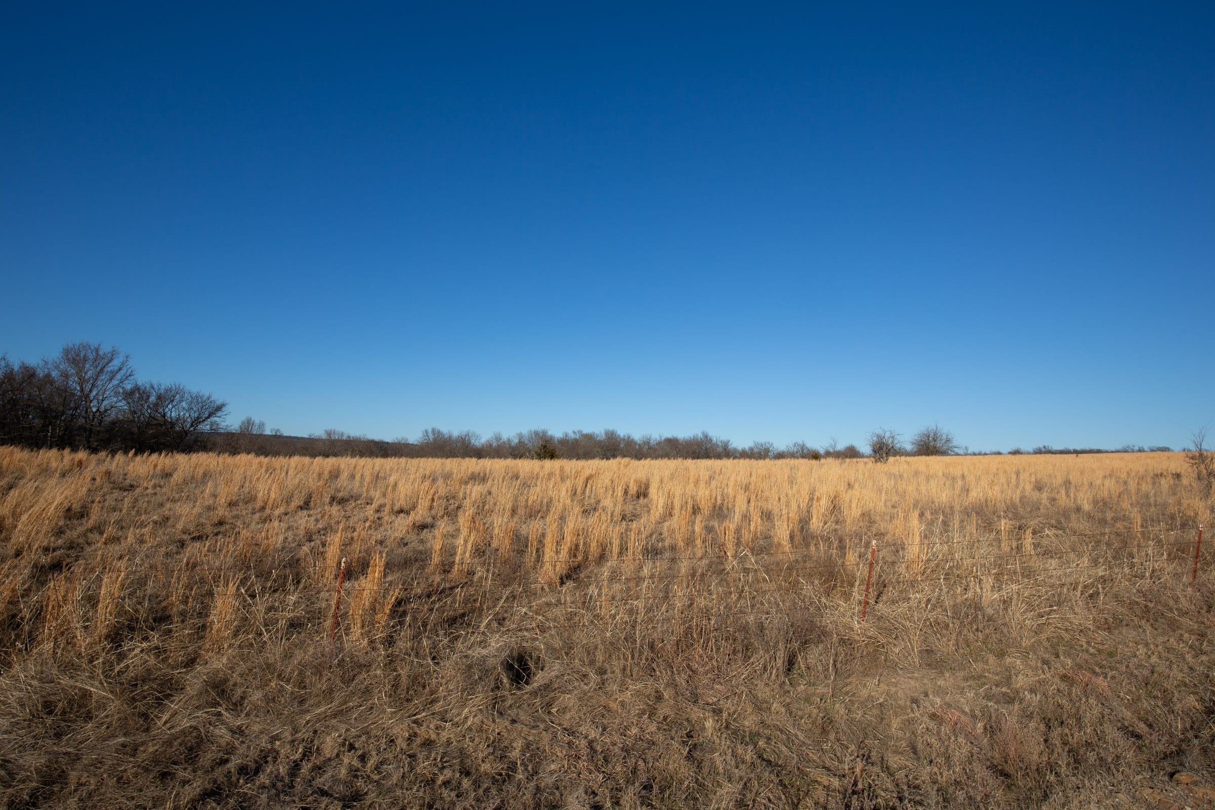 Painted Horse Tract 49 photo 14
