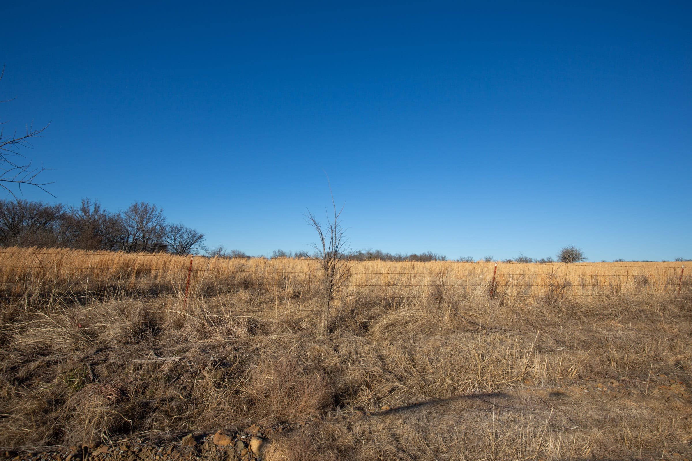 Painted Horse Tract 49 photo 15