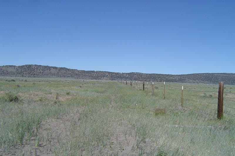 Moon Valley Ranch Tract 219 photo 6
