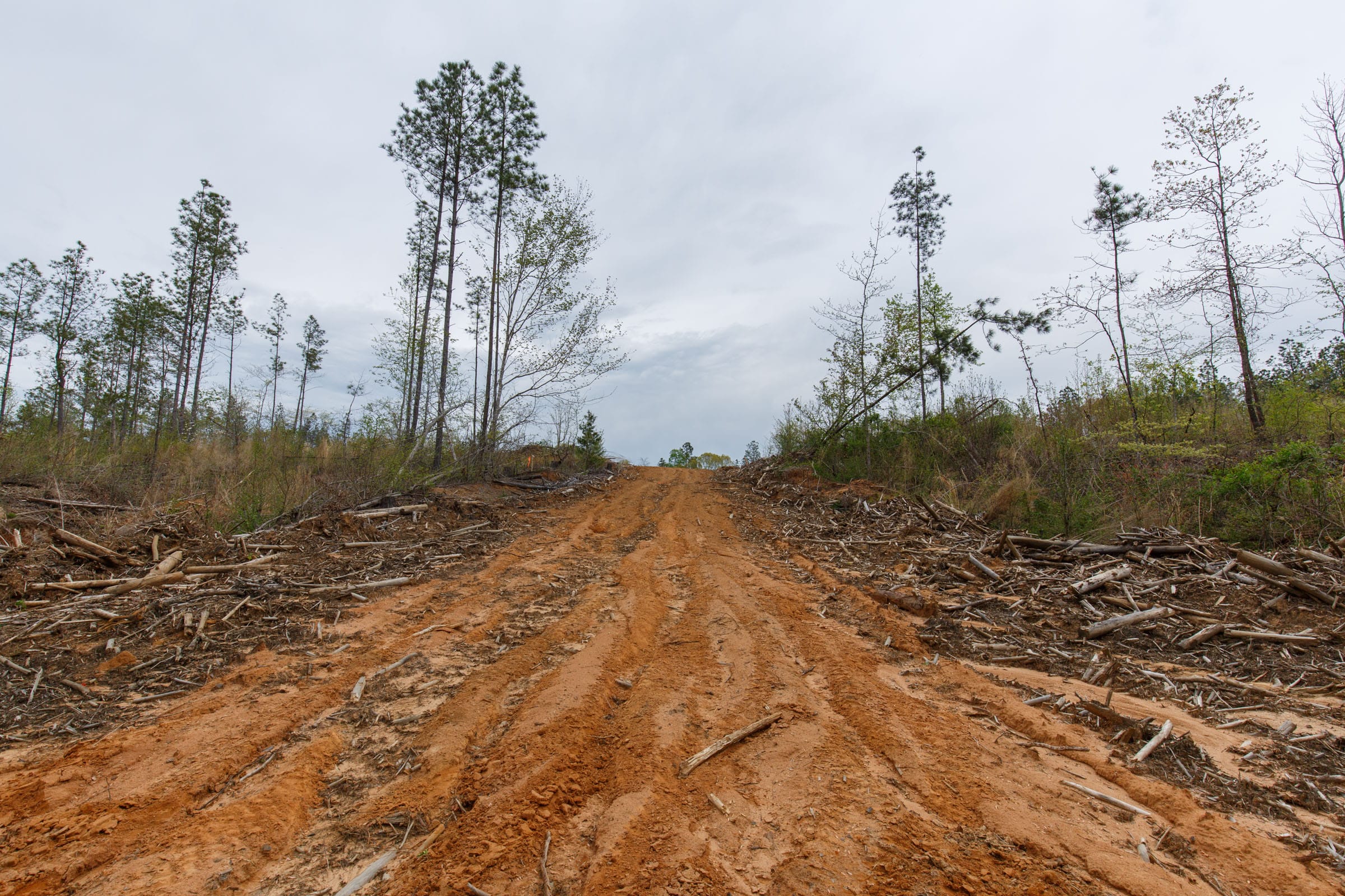 Twin Rivers Tract 9 photo 2