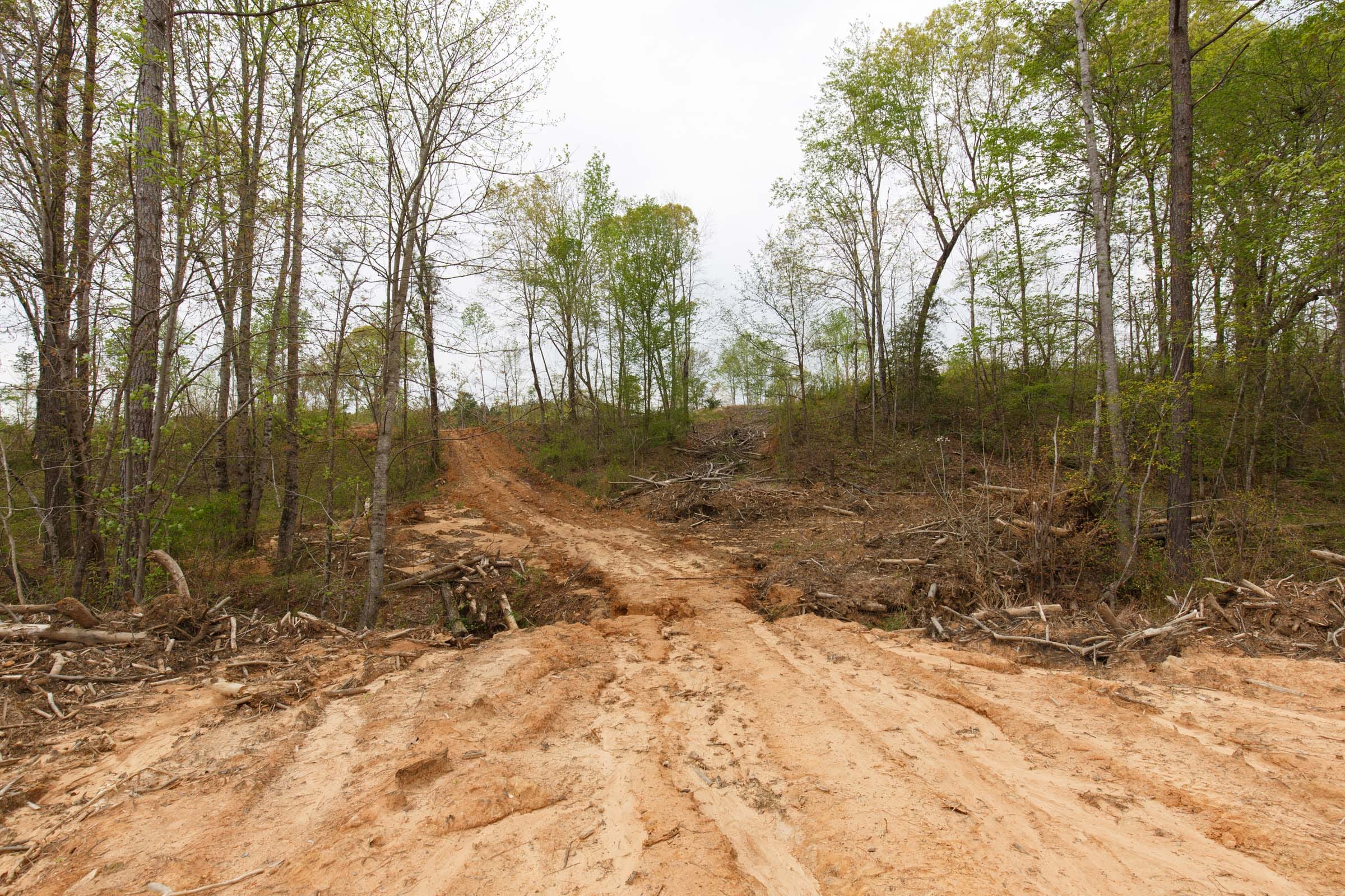 Twin Rivers Tract 9 photo 8