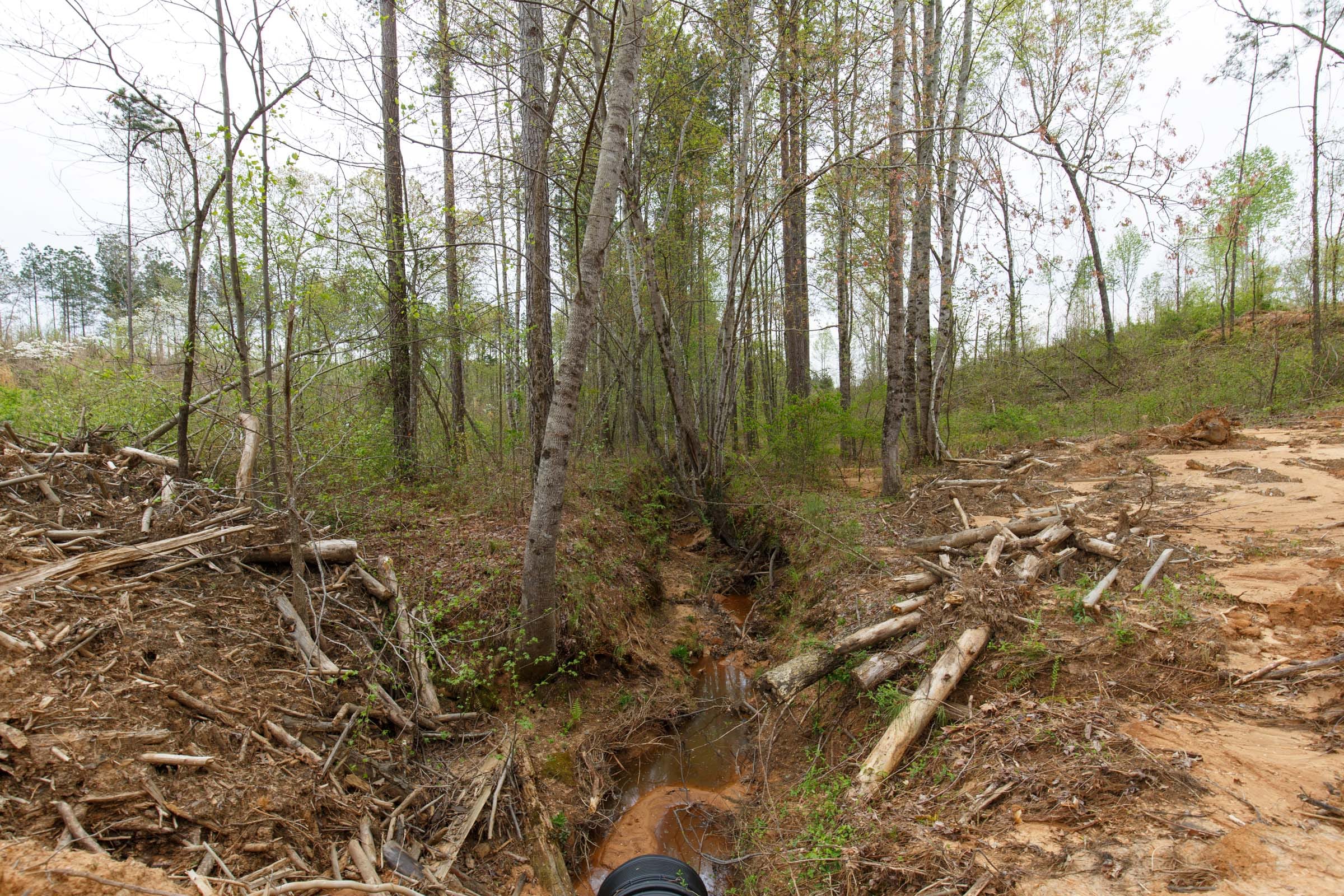 Twin Rivers Tract 9 photo 3