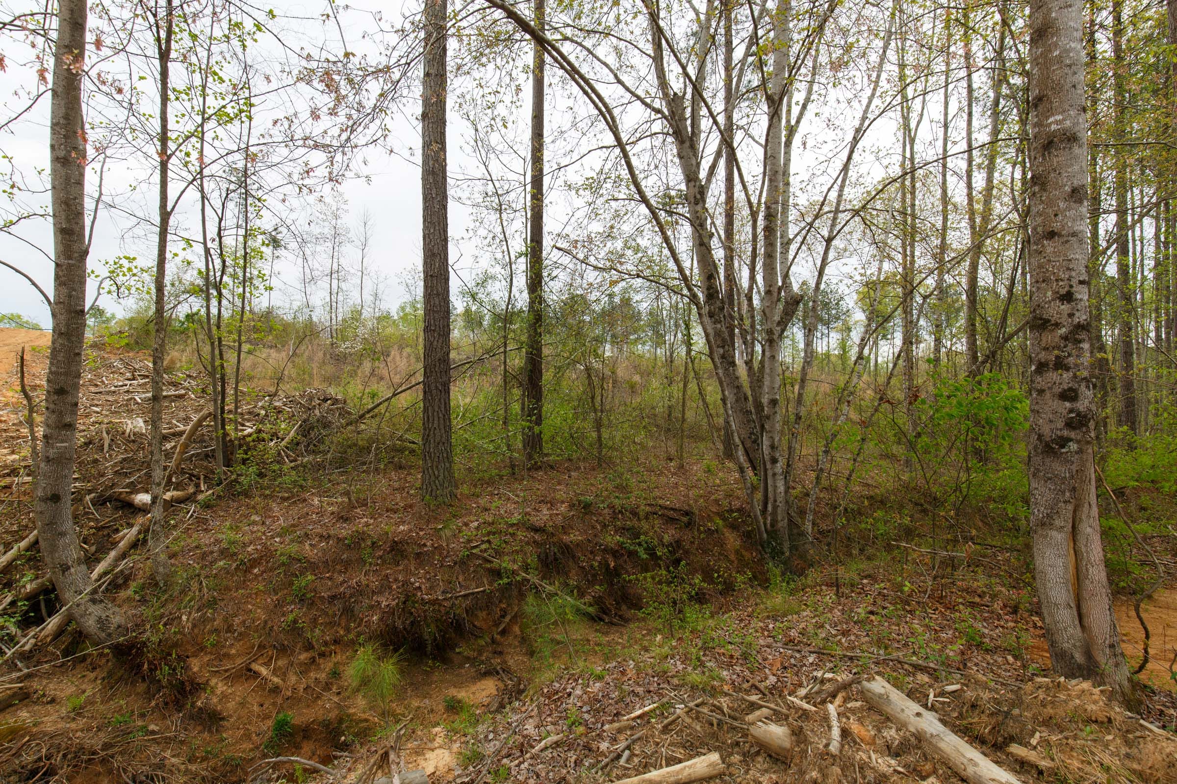 Twin Rivers Tract 9 photo 4