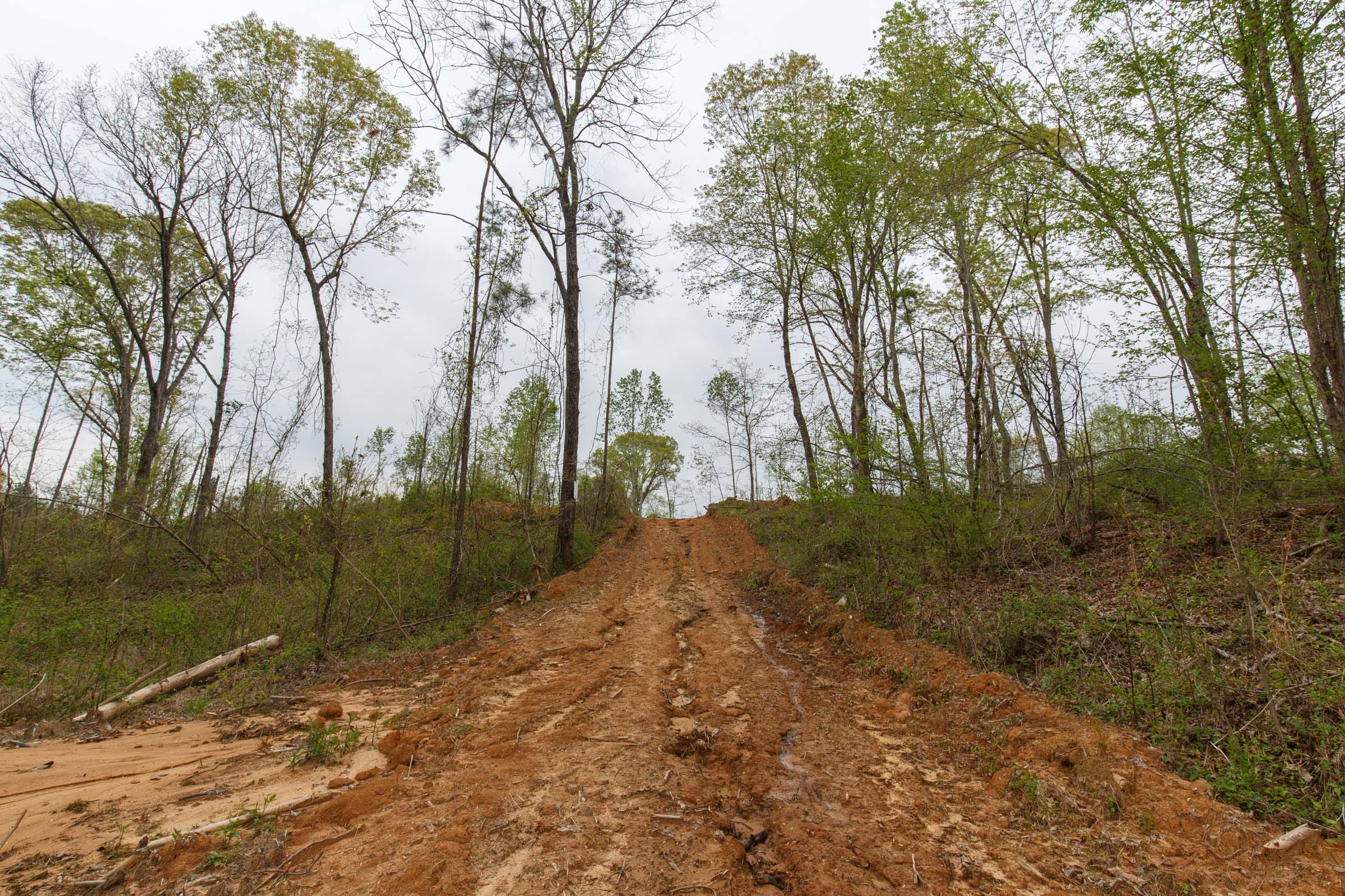 Twin Rivers Tract 9 photo 5