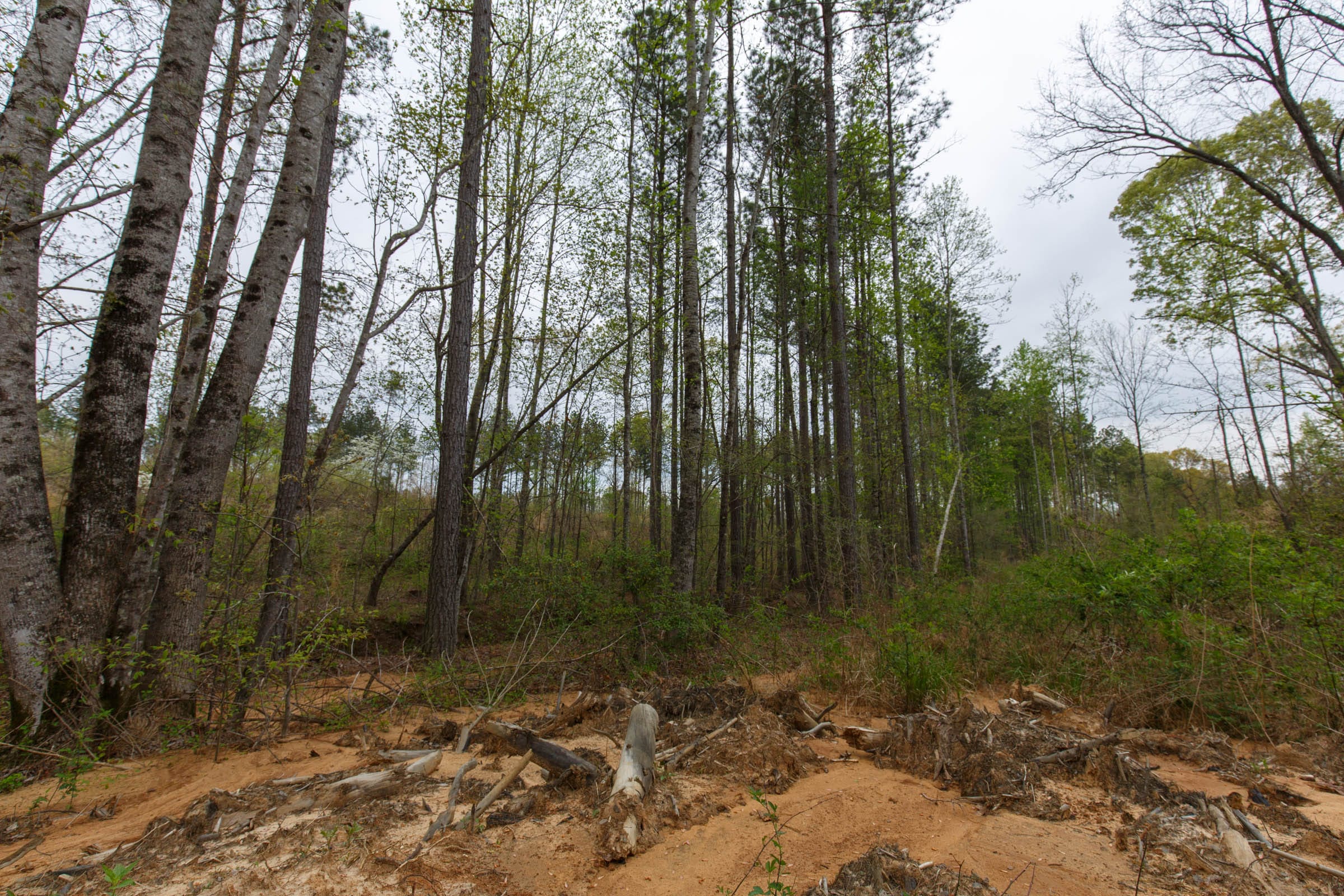 Twin Rivers Tract 9 photo 6