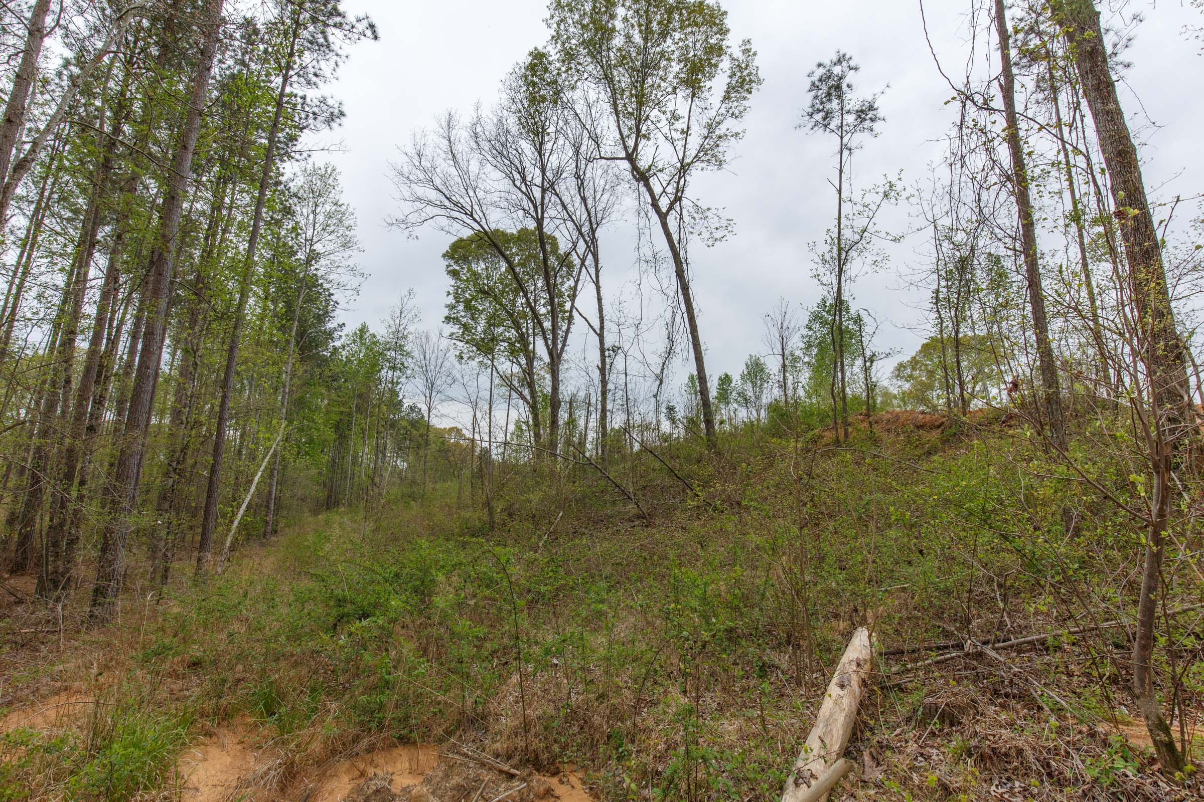 Twin Rivers Tract 9 photo 7