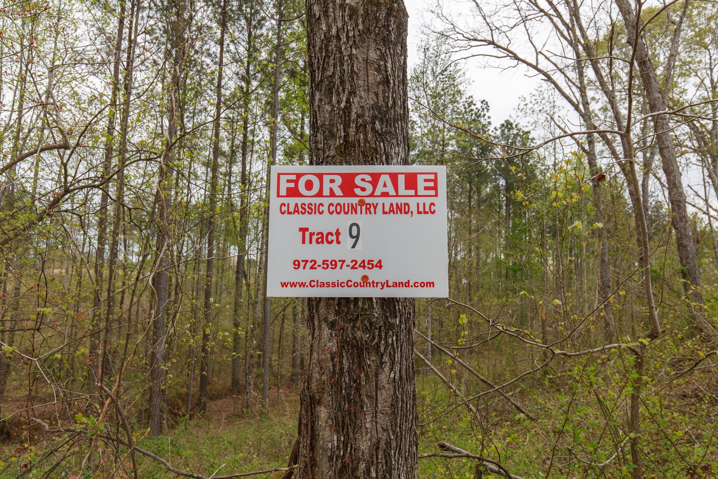 Twin Rivers Tract 9 photo 1