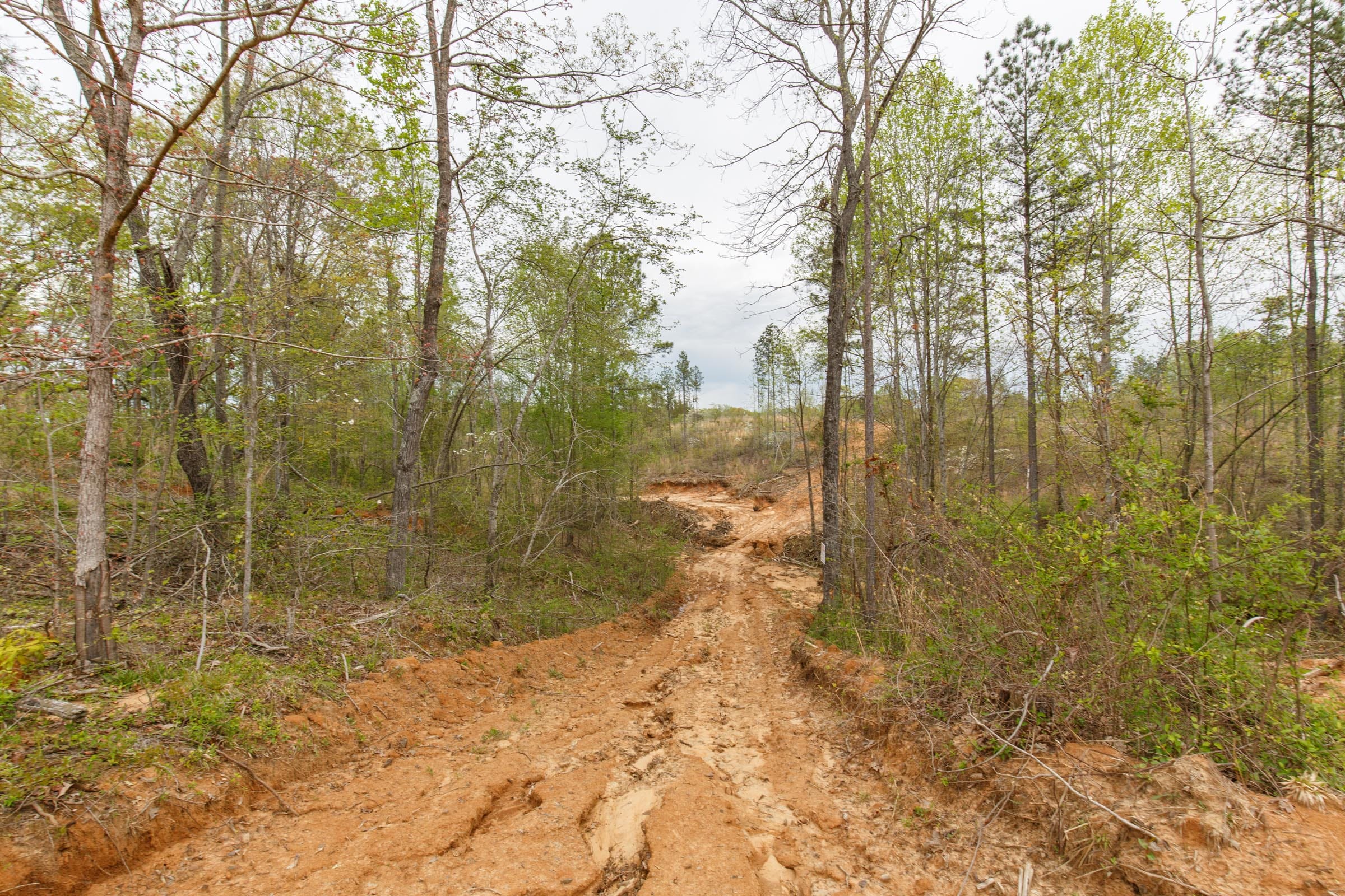 Twin Rivers Tract 9 photo 11
