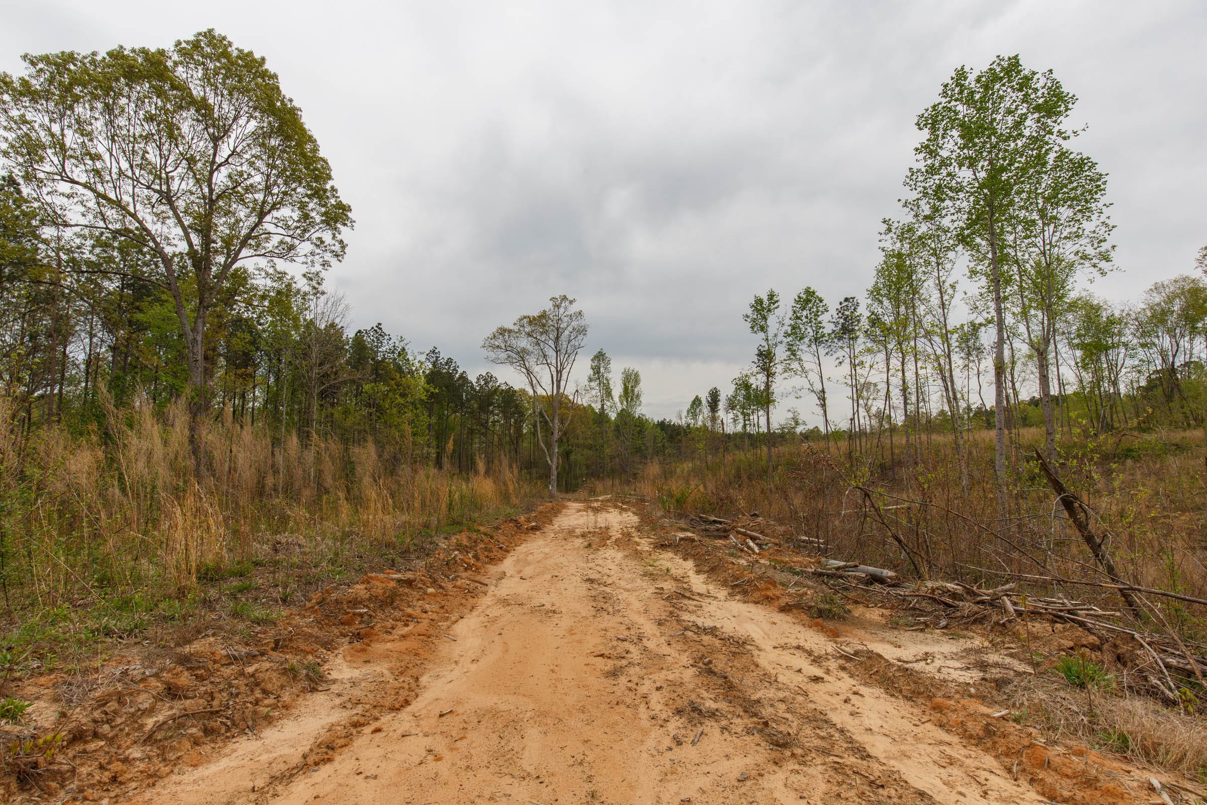 Twin Rivers Tract 9 photo 14