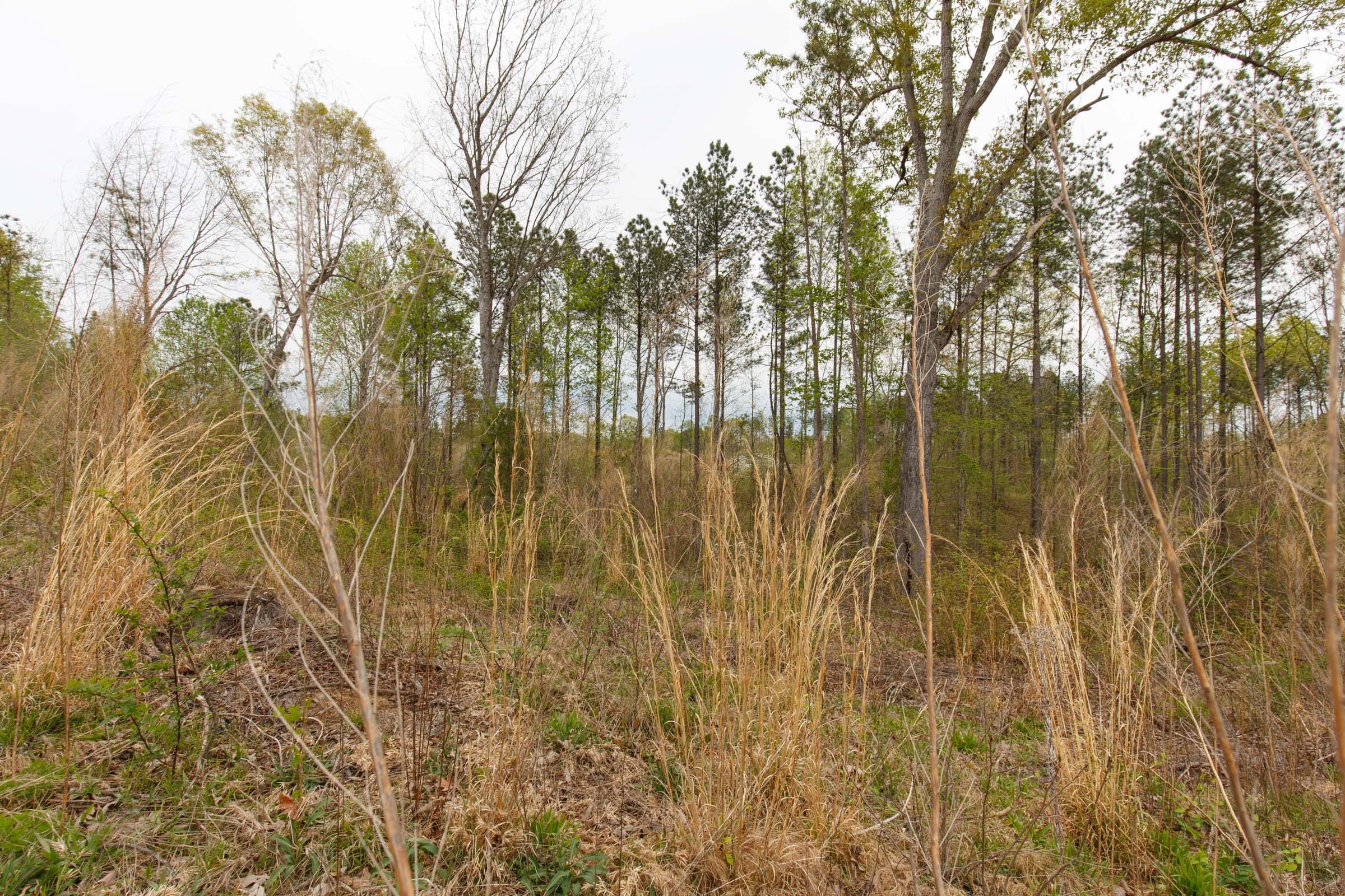 Twin Rivers Tract 9 photo 12