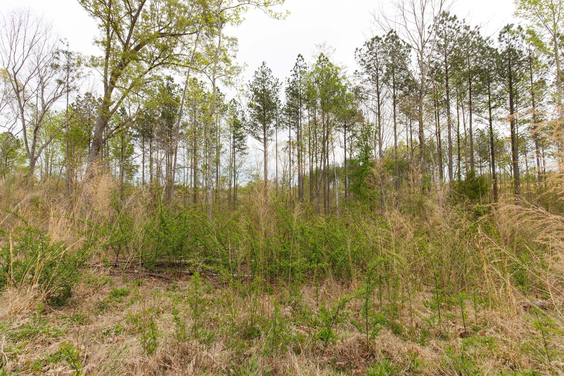 Twin Rivers Tract 9 photo 15