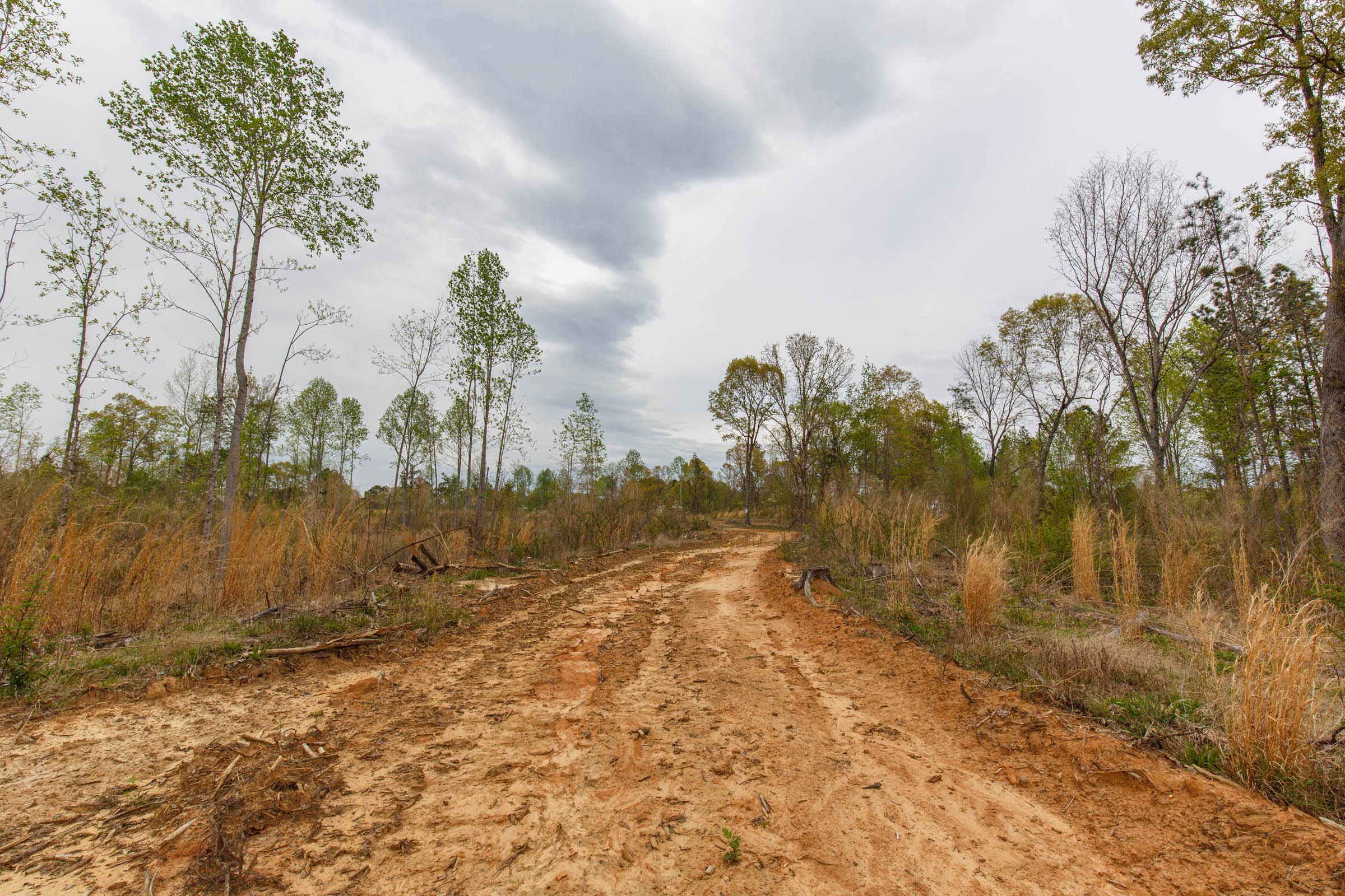 Twin Rivers Tract 9 photo 17