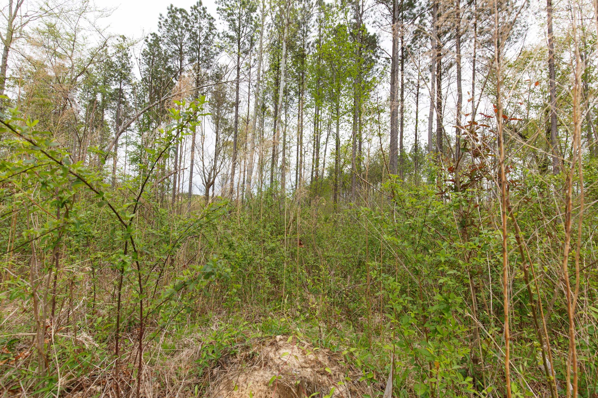 Twin Rivers Tract 9 photo 16