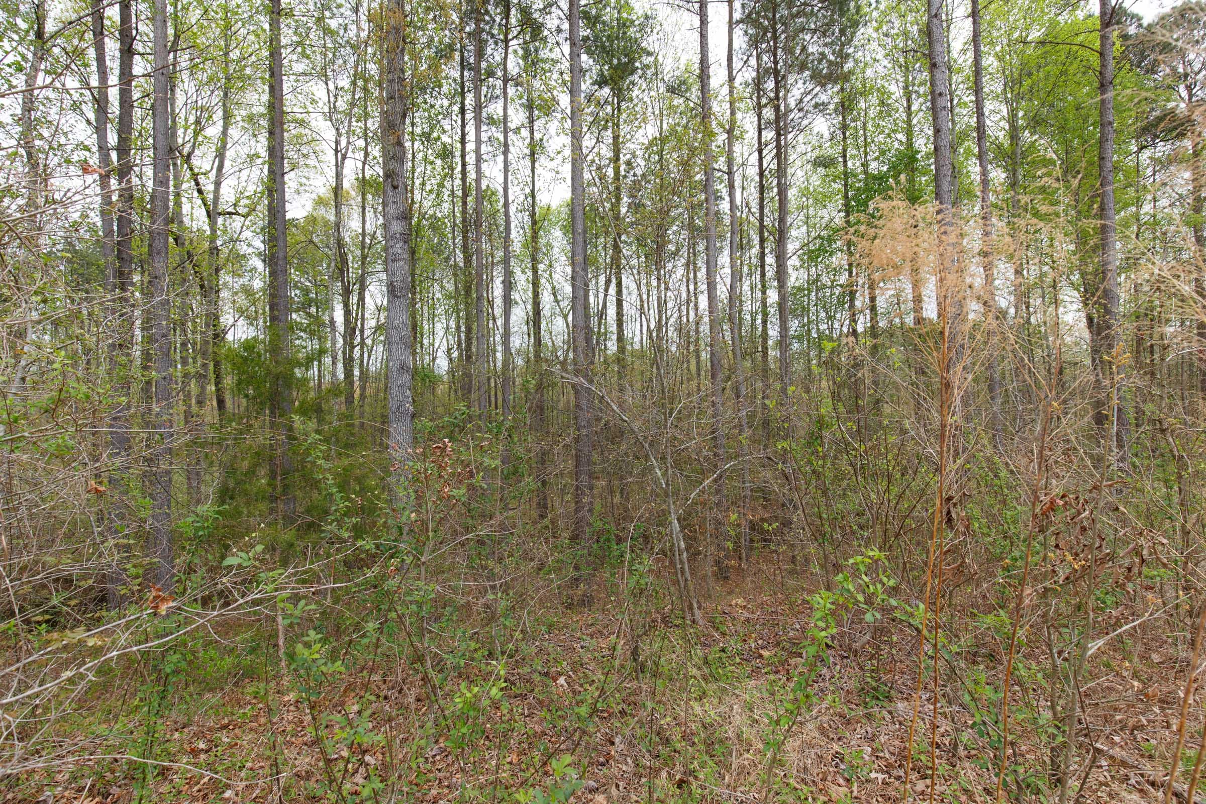 Twin Rivers Tract 9 photo 18