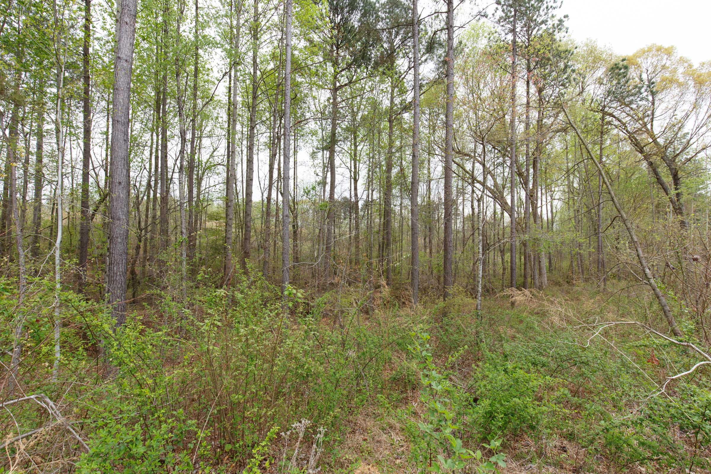 Twin Rivers Tract 9 photo 19