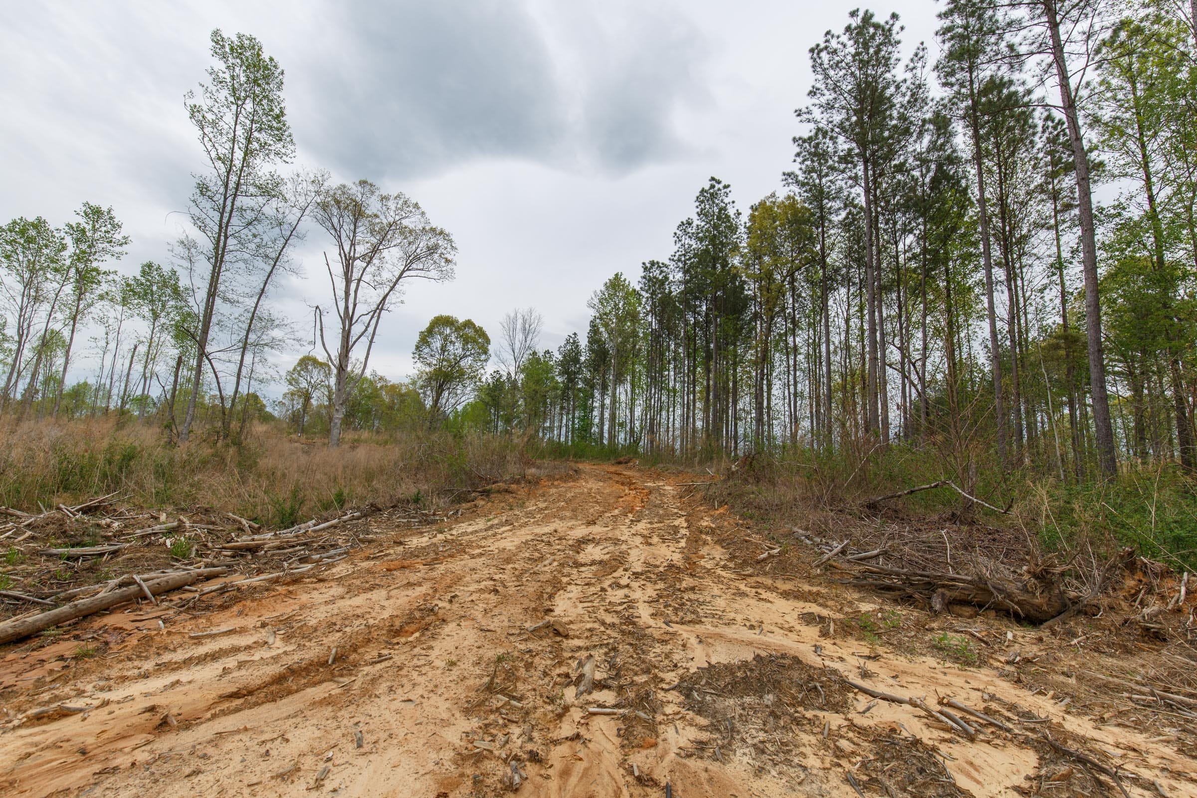 Twin Rivers Tract 9 photo 20