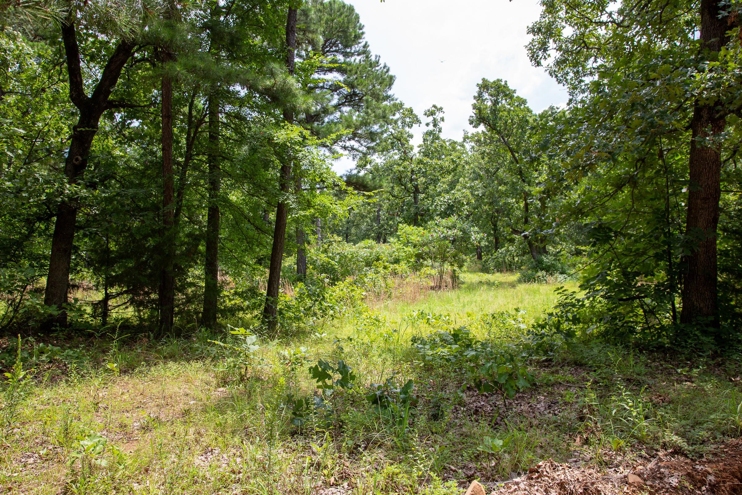 Tyler Stone Ranch Tract 20 photo 3