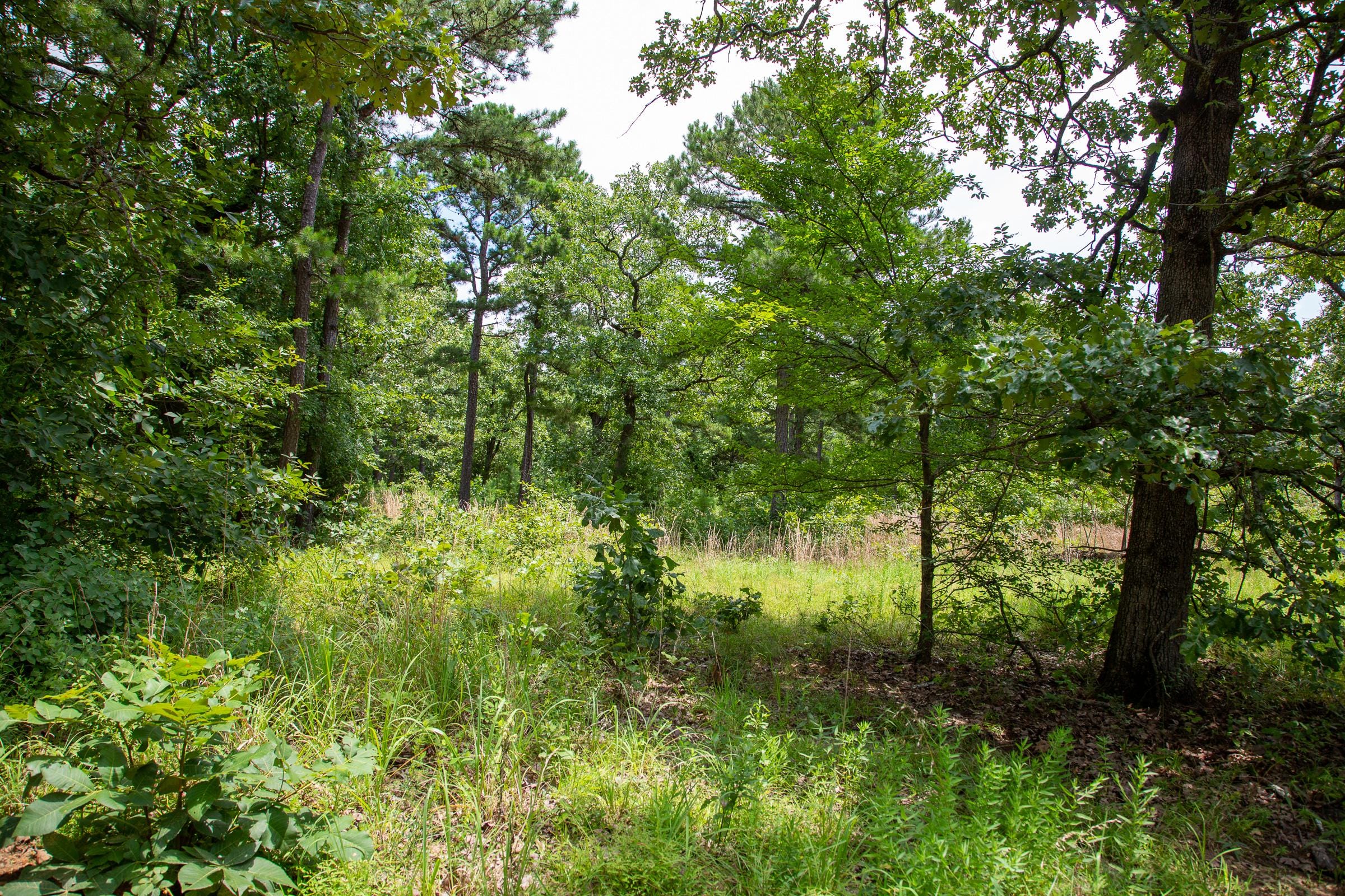Tyler Stone Ranch Tract 20 photo 1