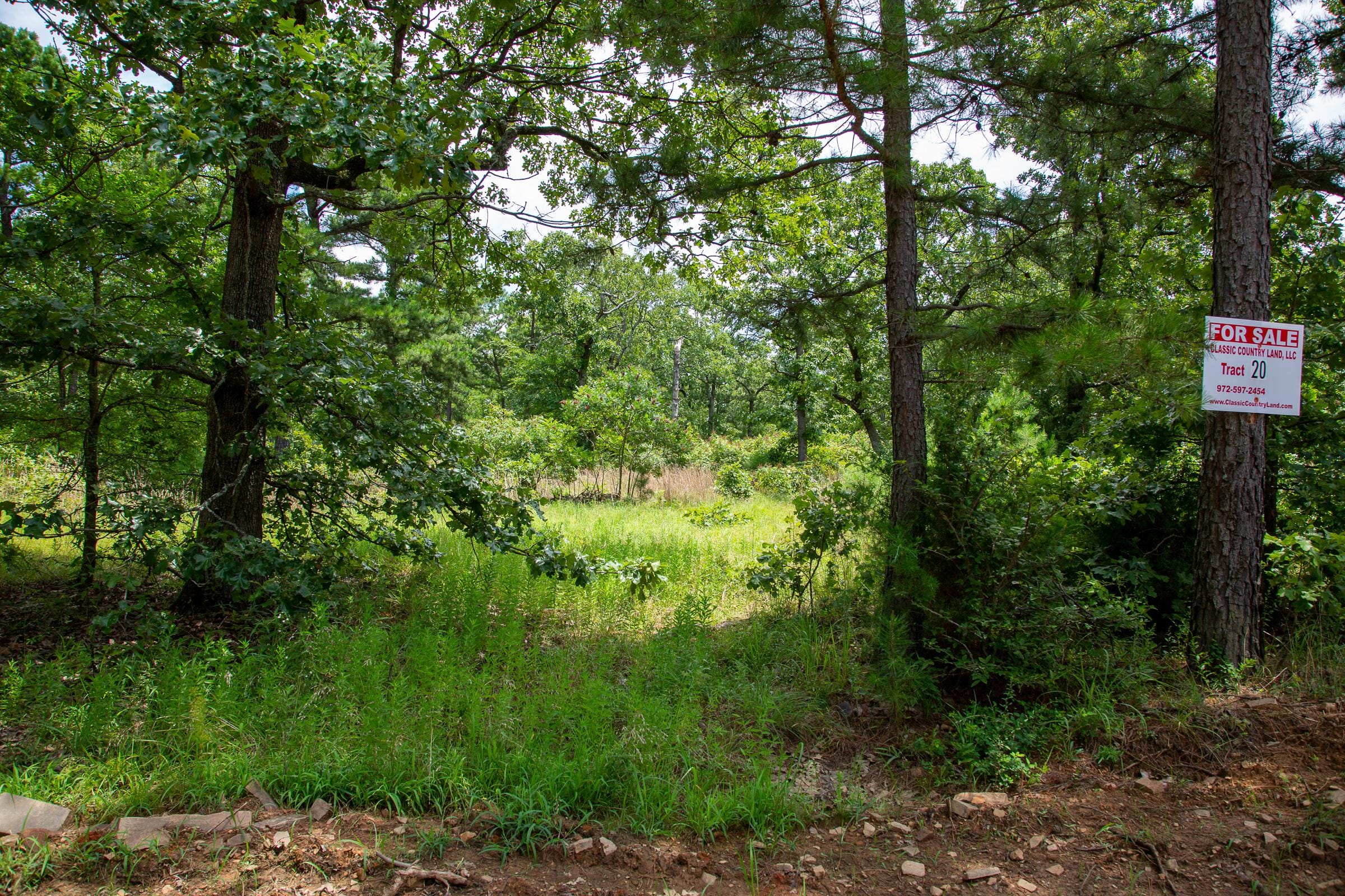 Tyler Stone Ranch Tract 20 photo 4