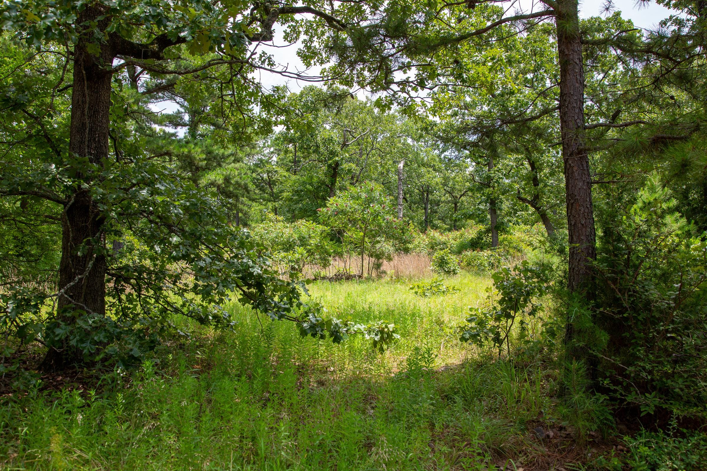 Tyler Stone Ranch Tract 20 photo 5