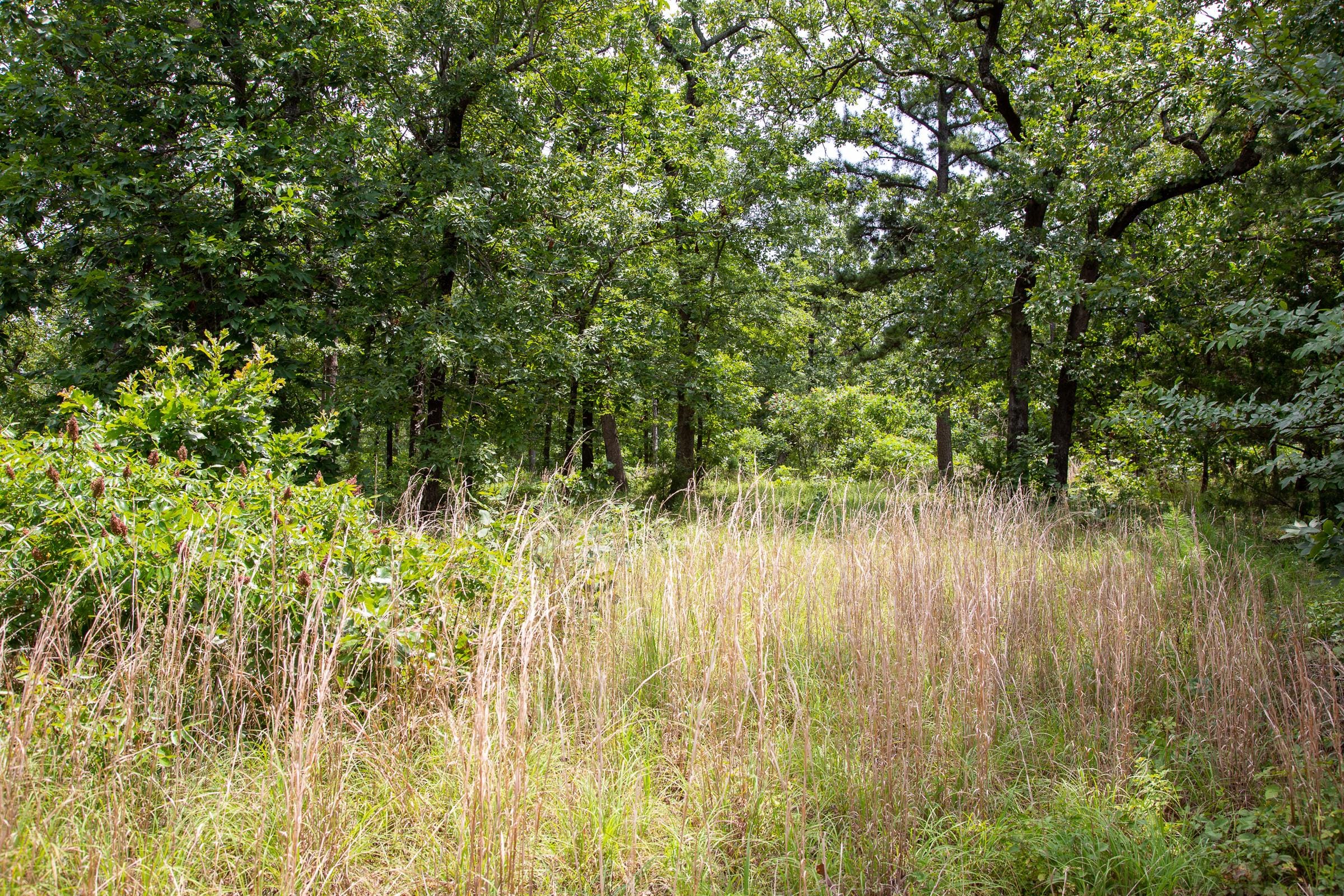 Tyler Stone Ranch Tract 20 photo 9