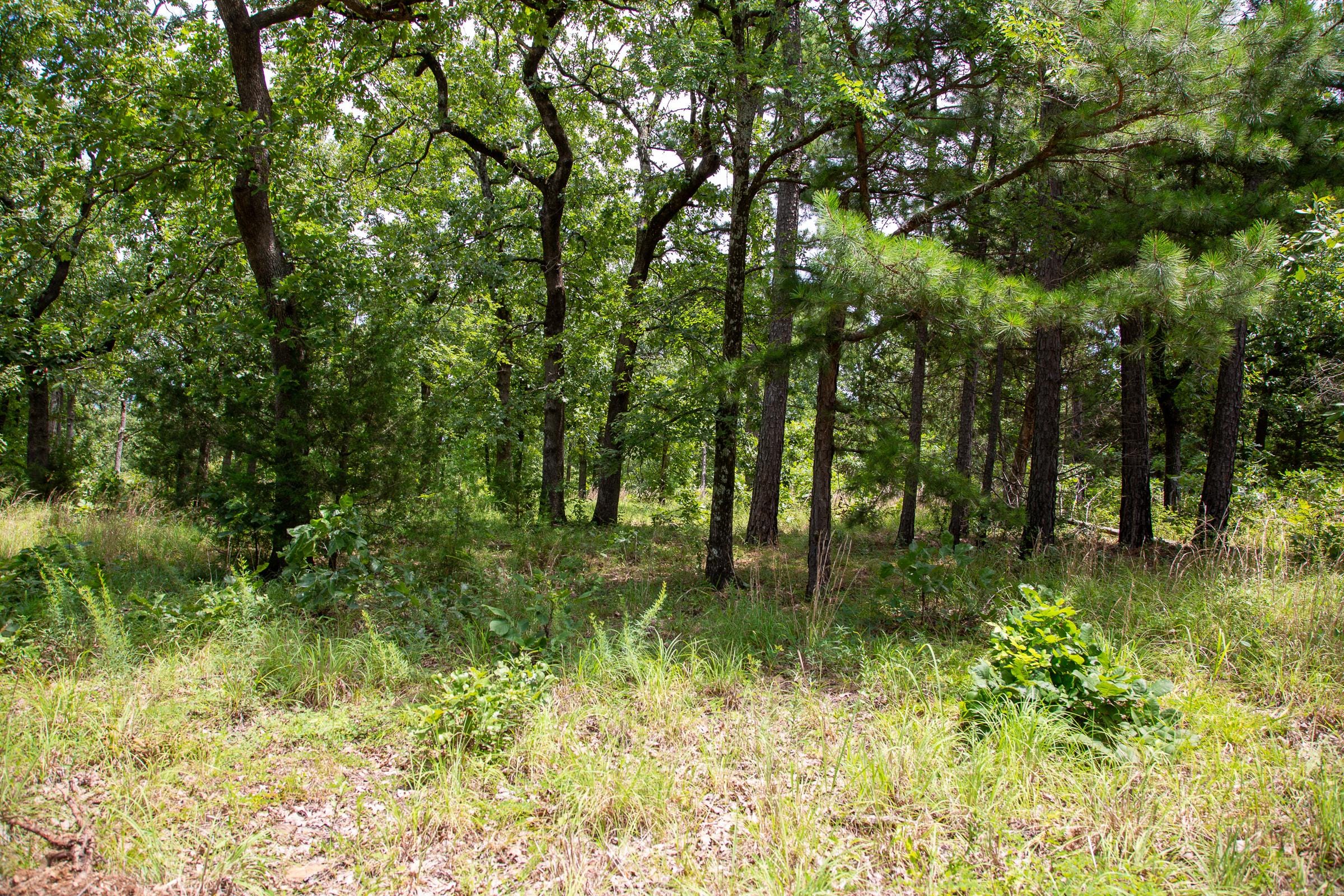 Tyler Stone Ranch Tract 20 photo 10