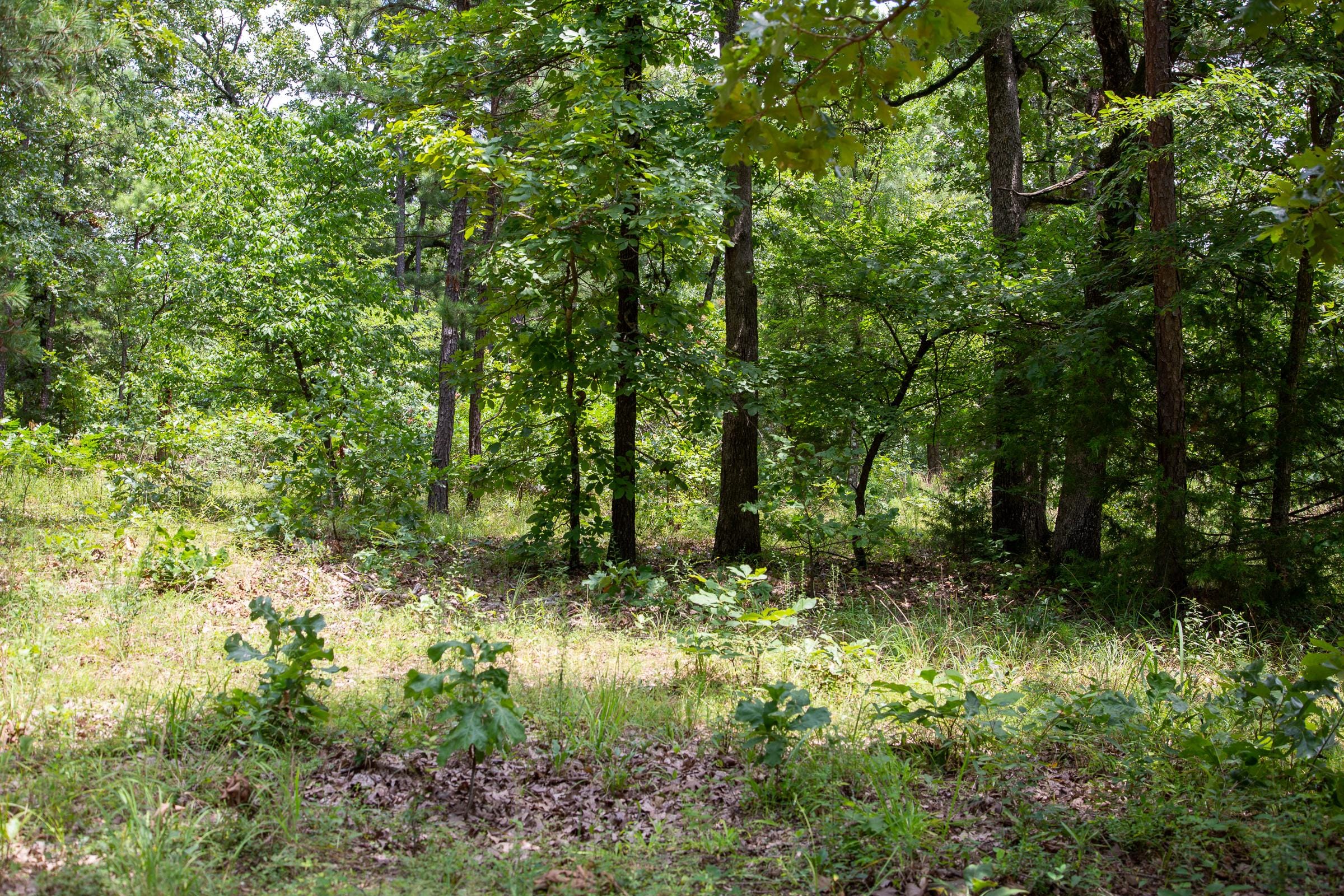 Tyler Stone Ranch Tract 20 photo 12
