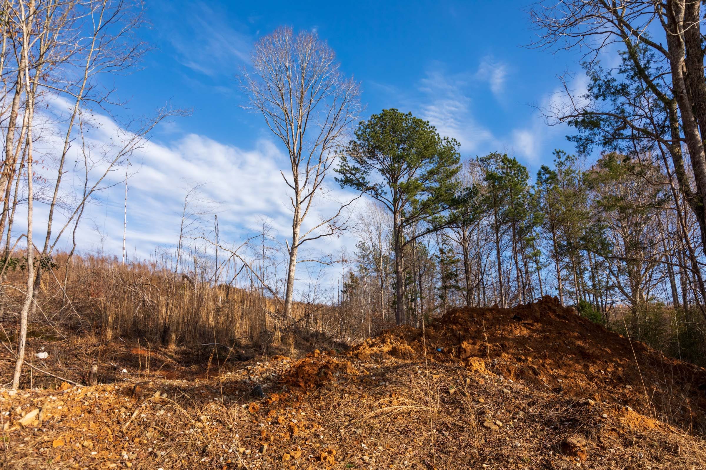 Fairview Hills Tract 2 photo 9