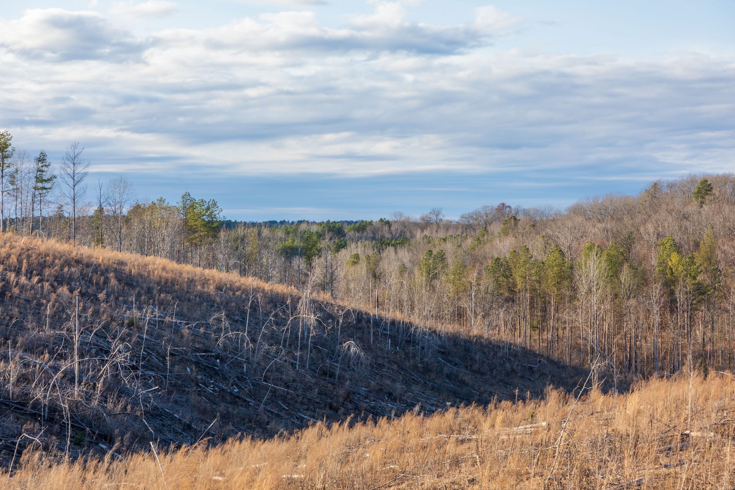 Fairview Hills Tract 2 photo 15