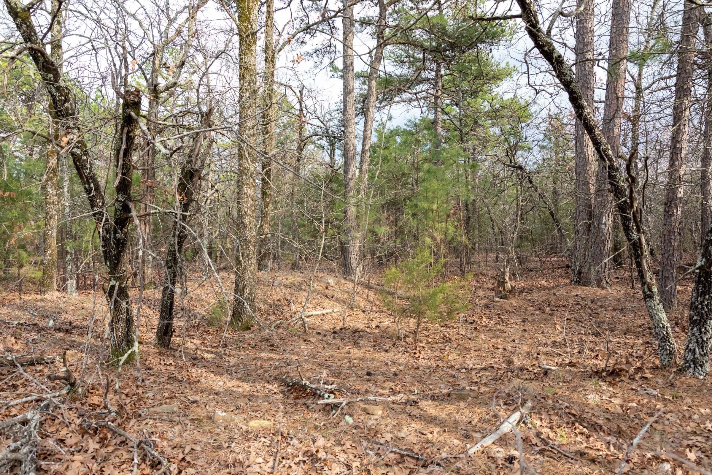 Stone Bridge Phase III Tract 181 photo 3