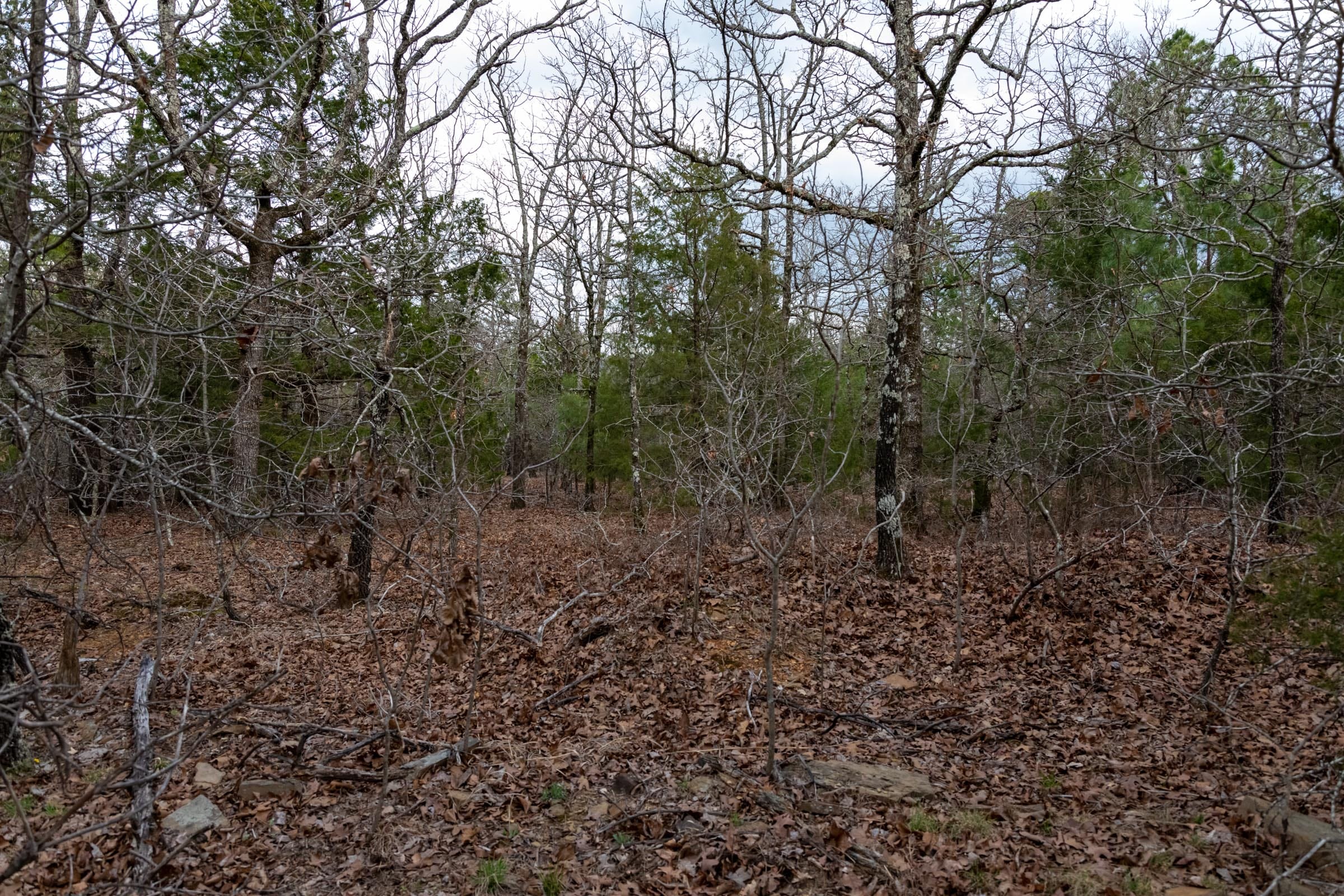 Stone Bridge Phase III Tract 181 photo 10